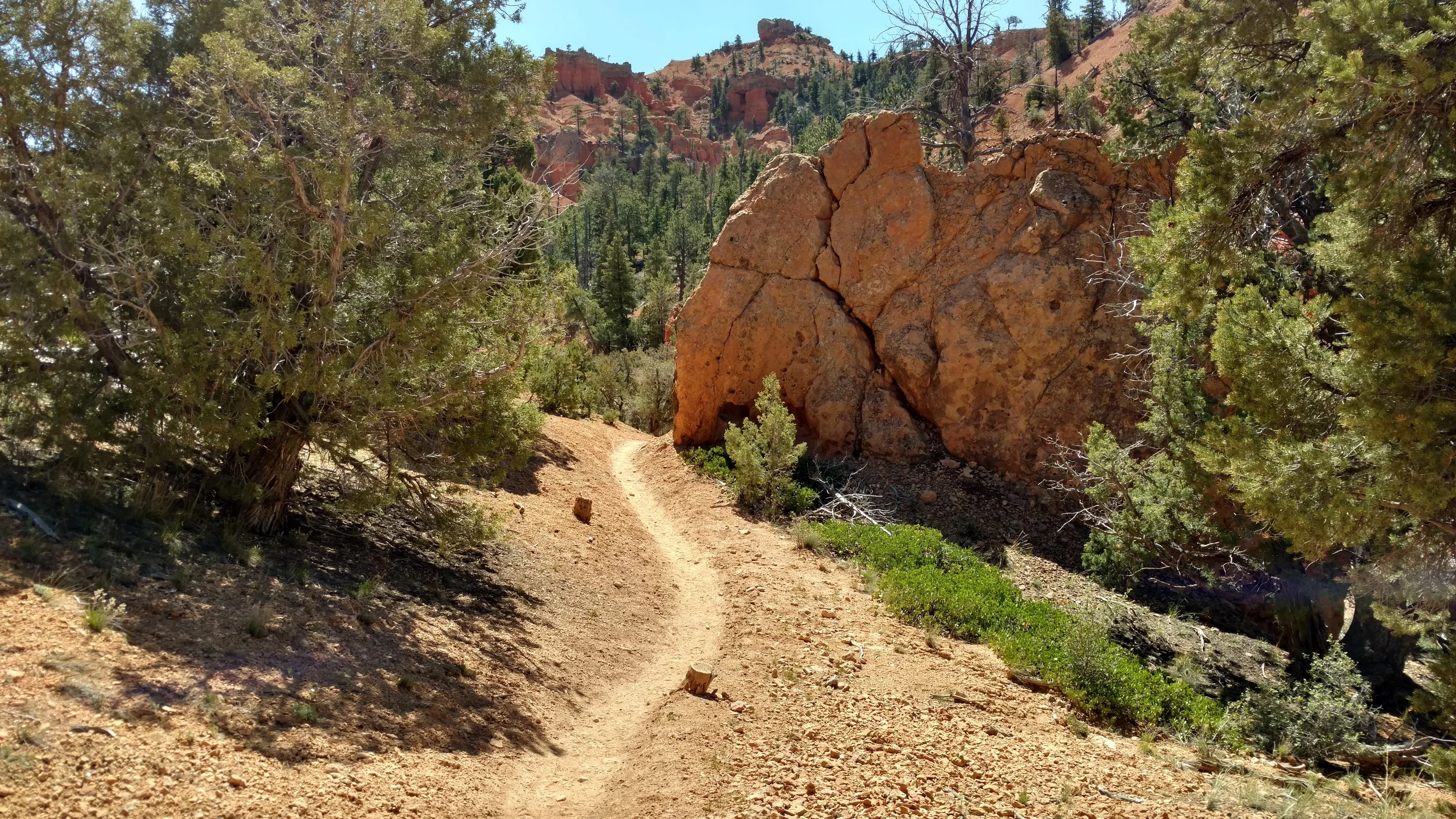 Well used trail