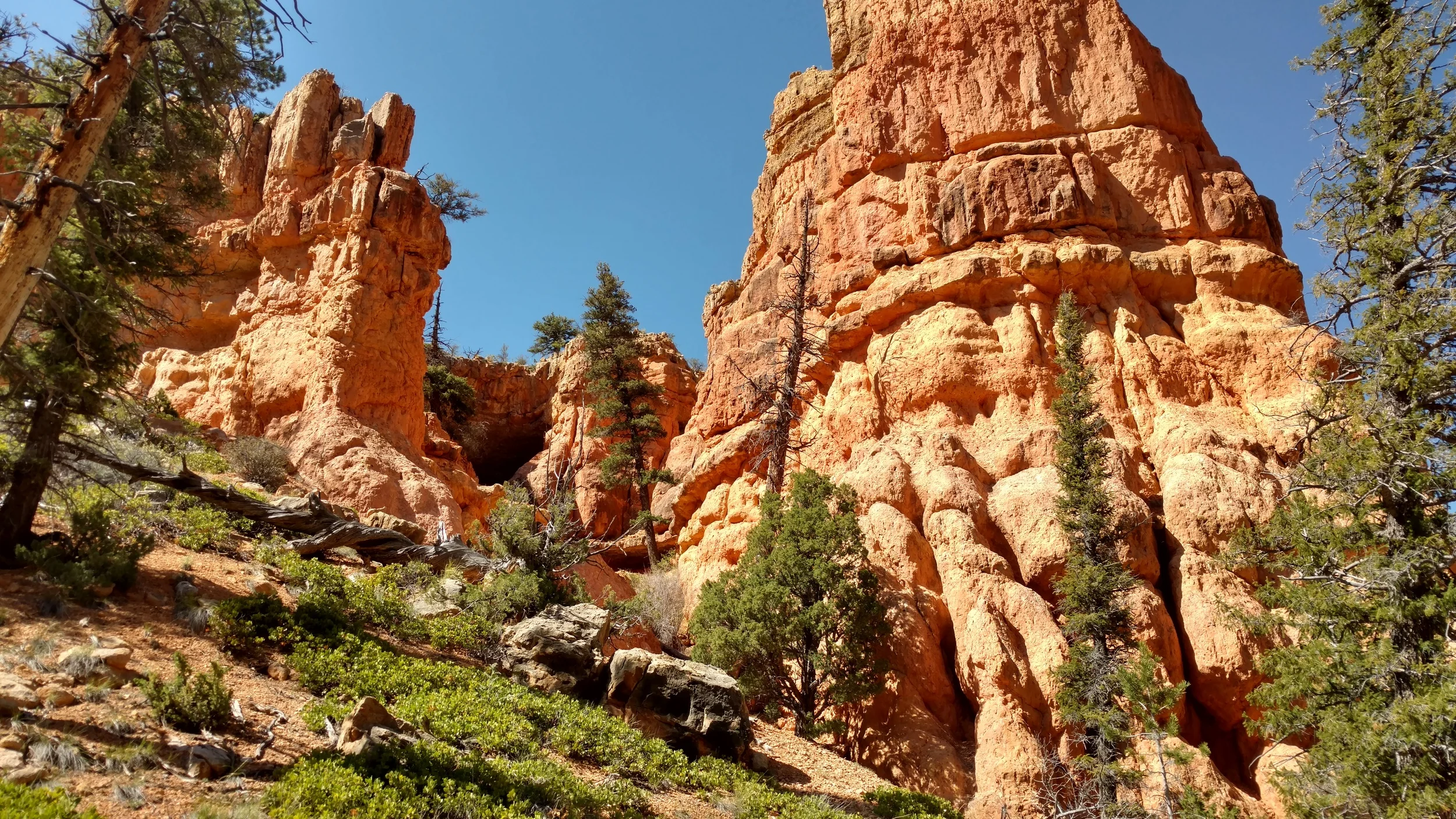 Losee Canyon