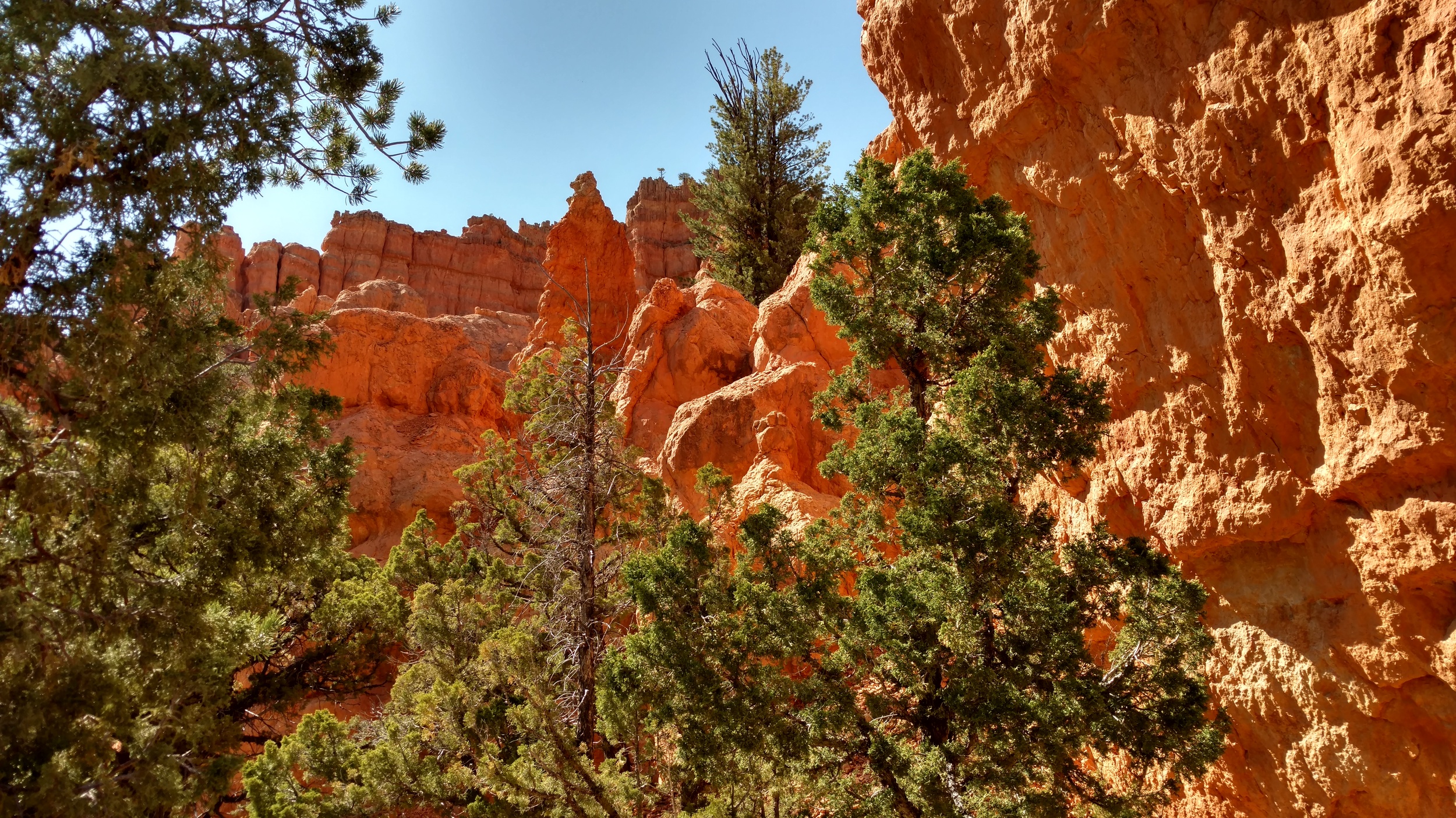 Losee Canyon