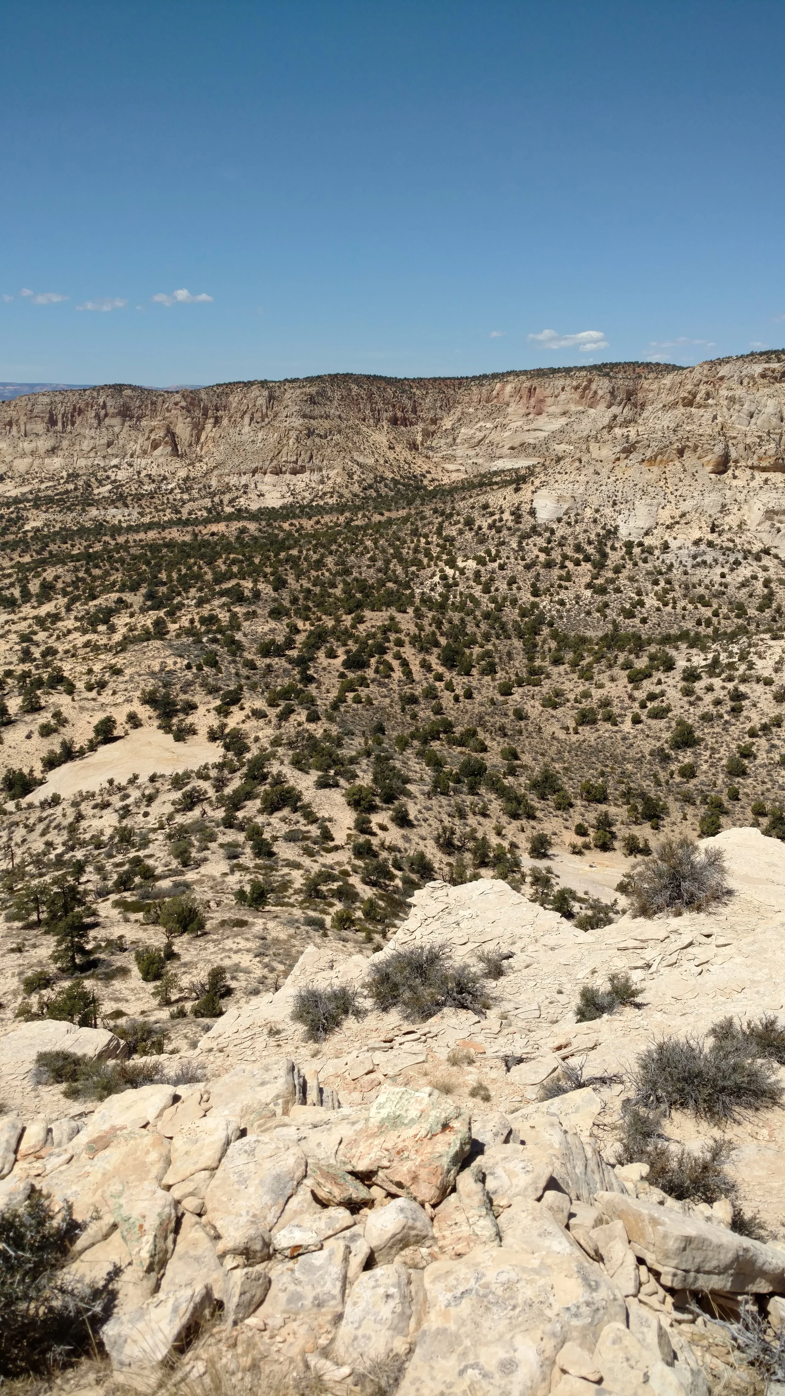 Summit view back to Rocky Springs Bench