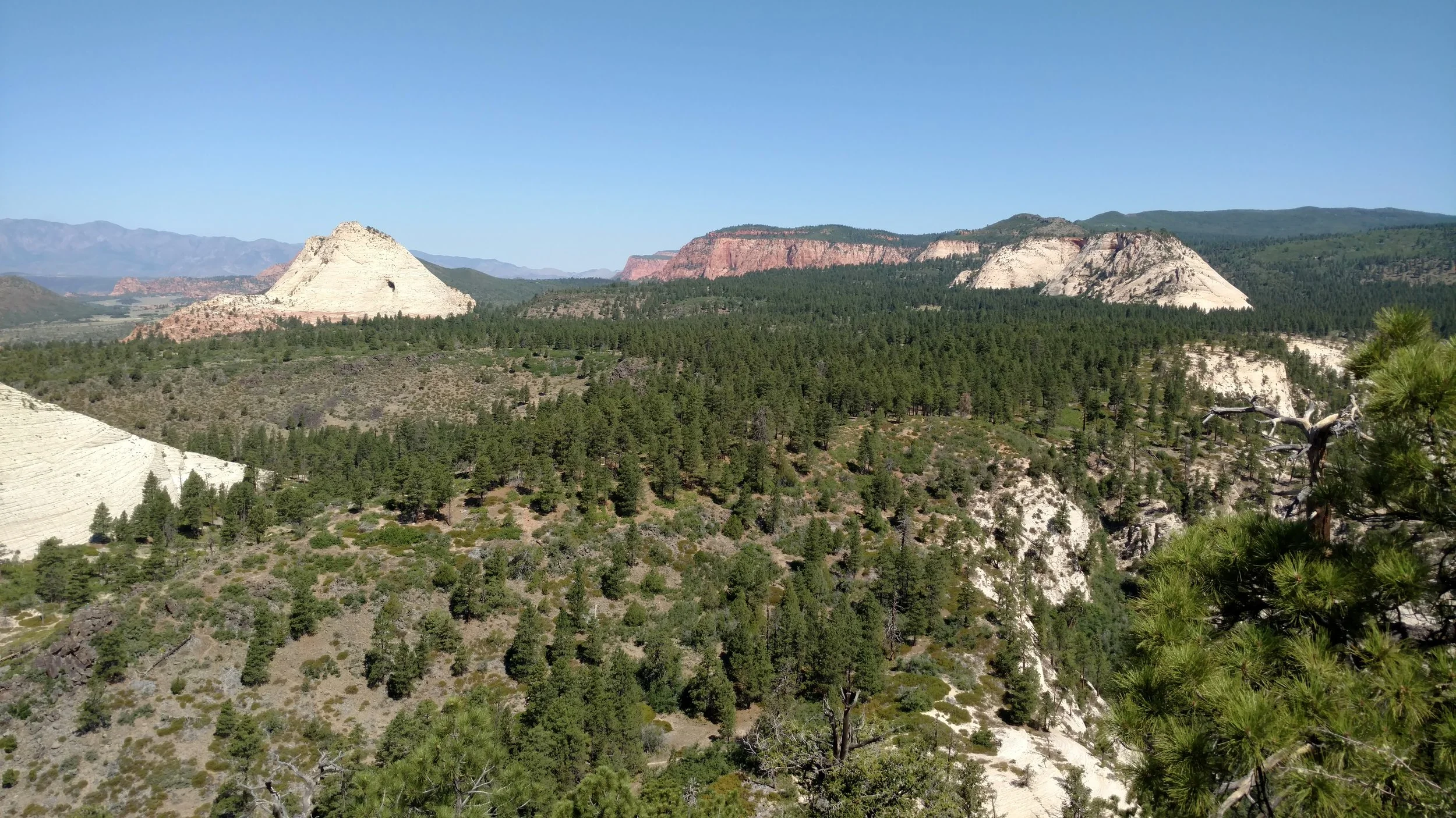 Peak to Peak view. Wildcat trailhead sits near the base of Pine Valley Peak (picture left)
