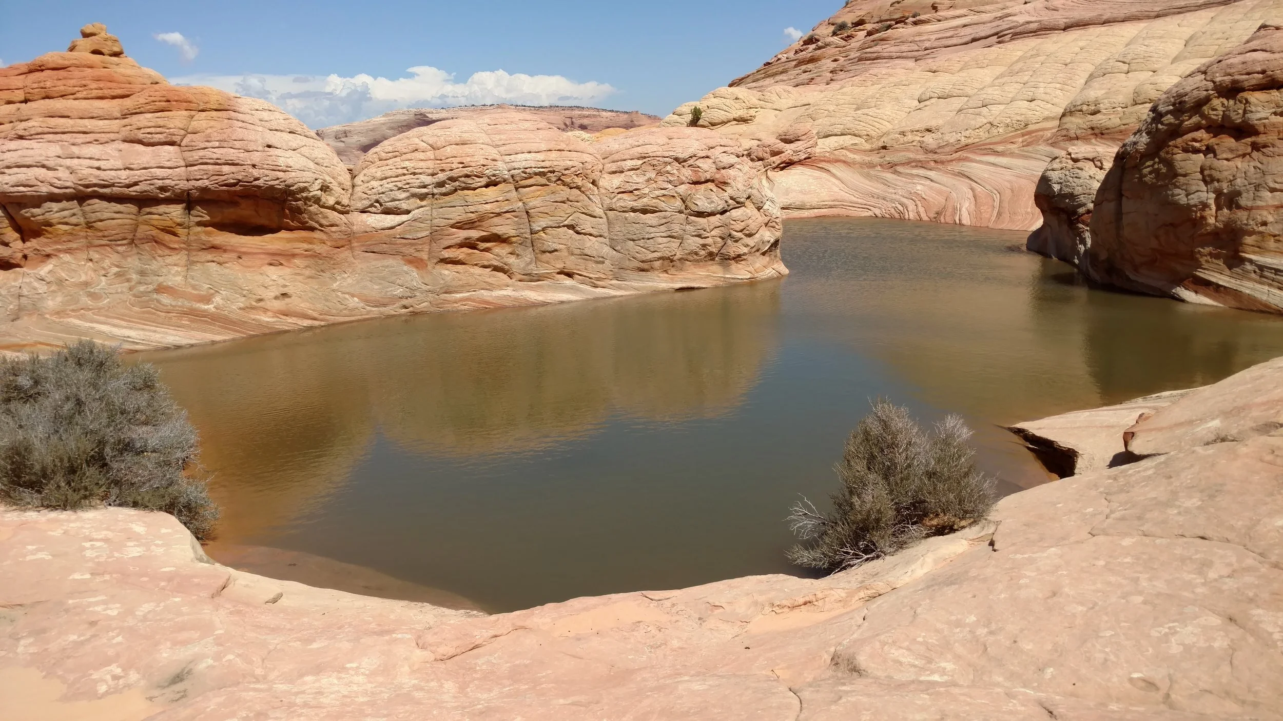 Large upper pool