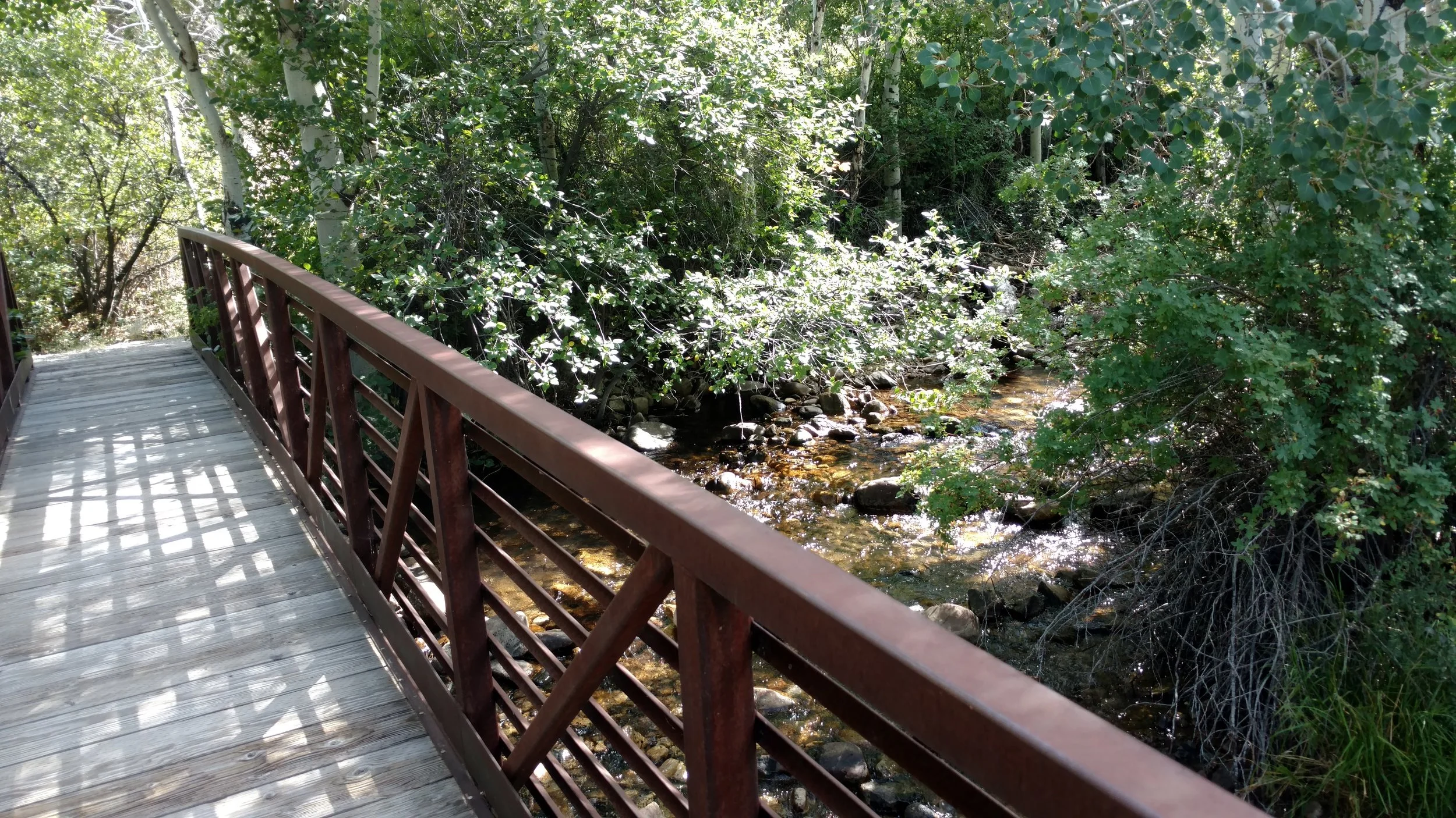 Pole Canyon walking bridge