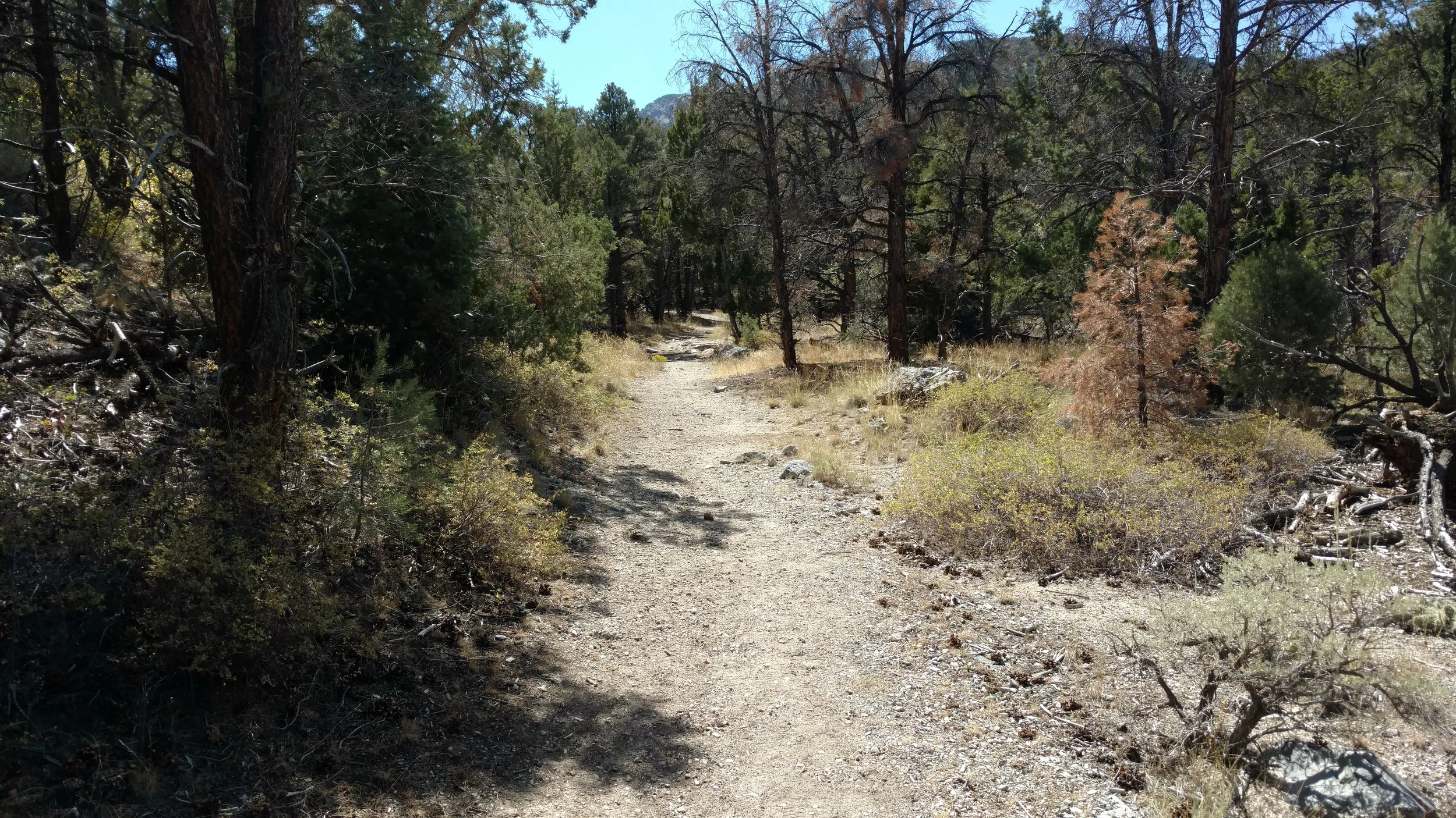 Pole Canyon Trail