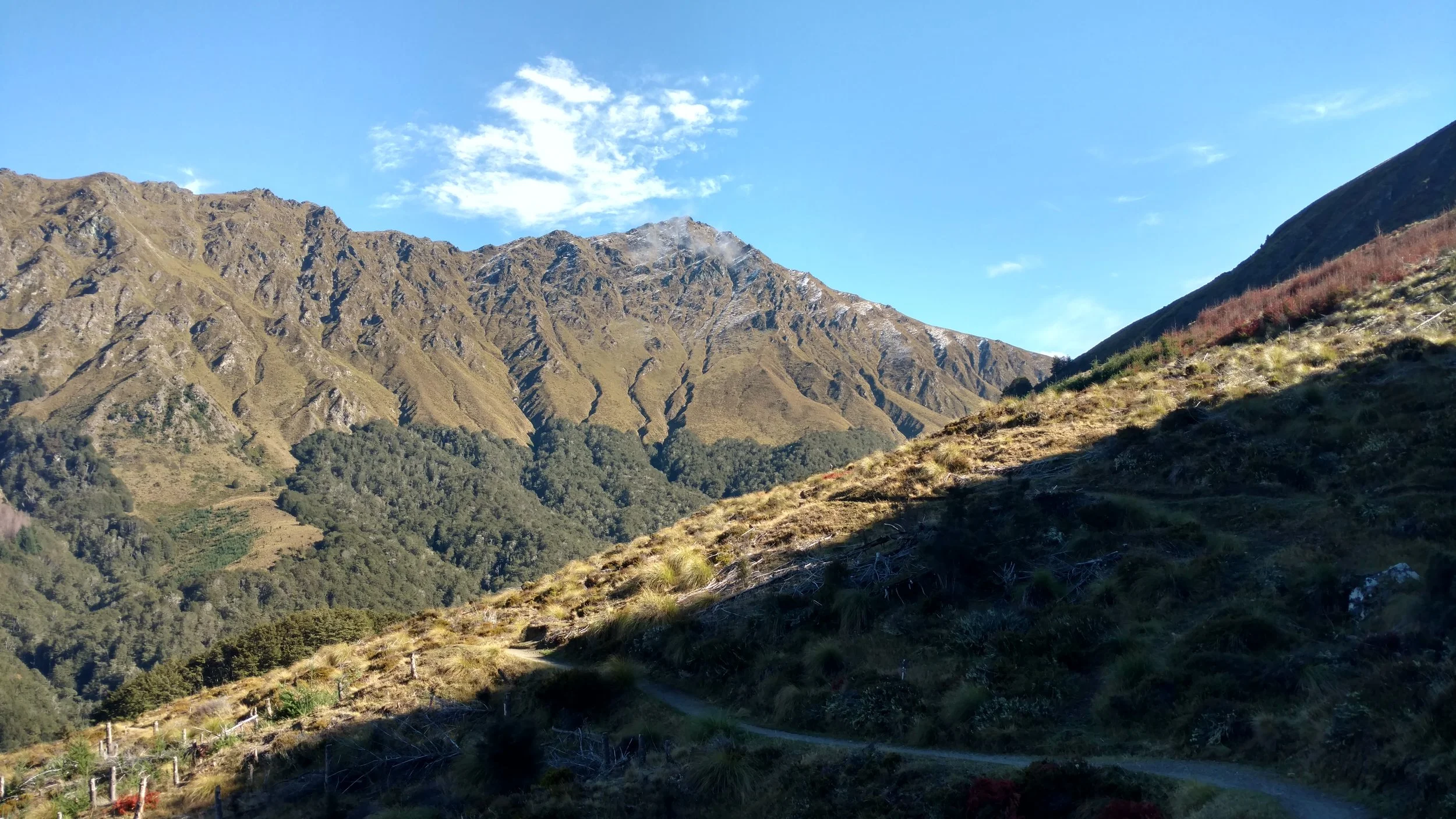 Ben Lomond