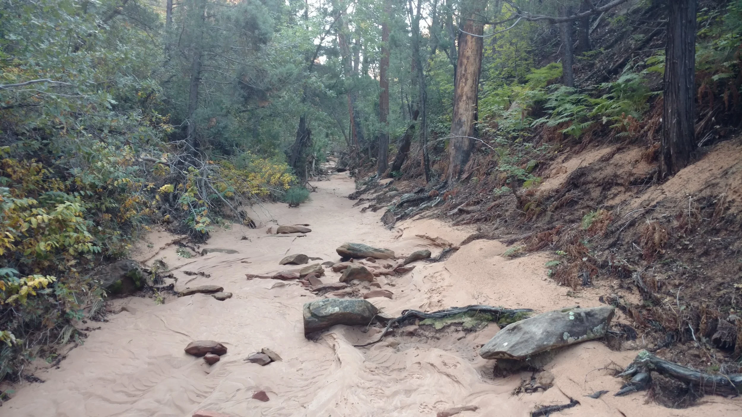 Gifford Canyon
