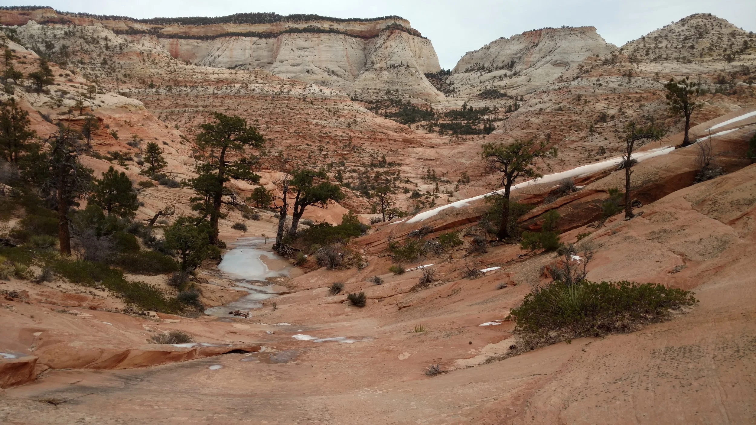 East Temple Wash looking east toward Scarlet Begonia, Ant Hill and Progeny Peak