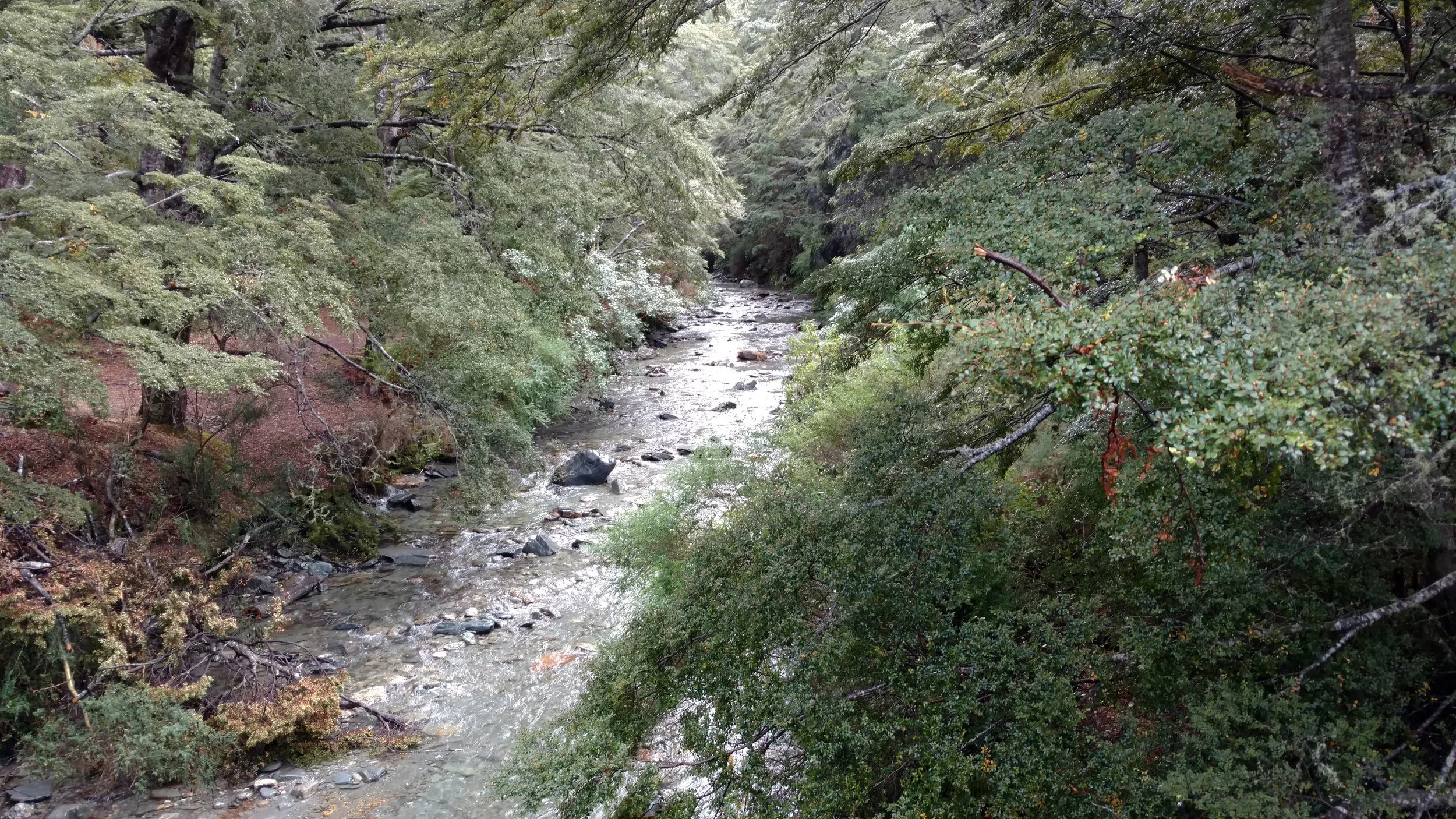 Trail view of canyon creek