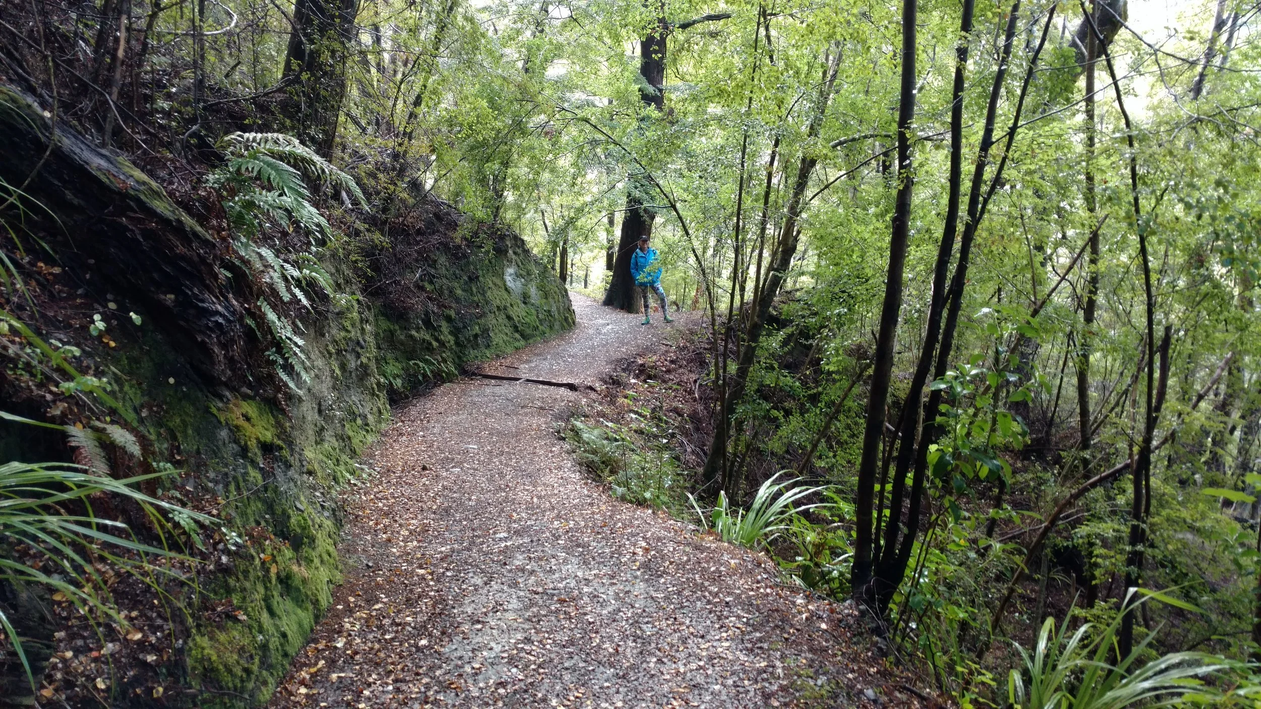 Linda hiking the loop