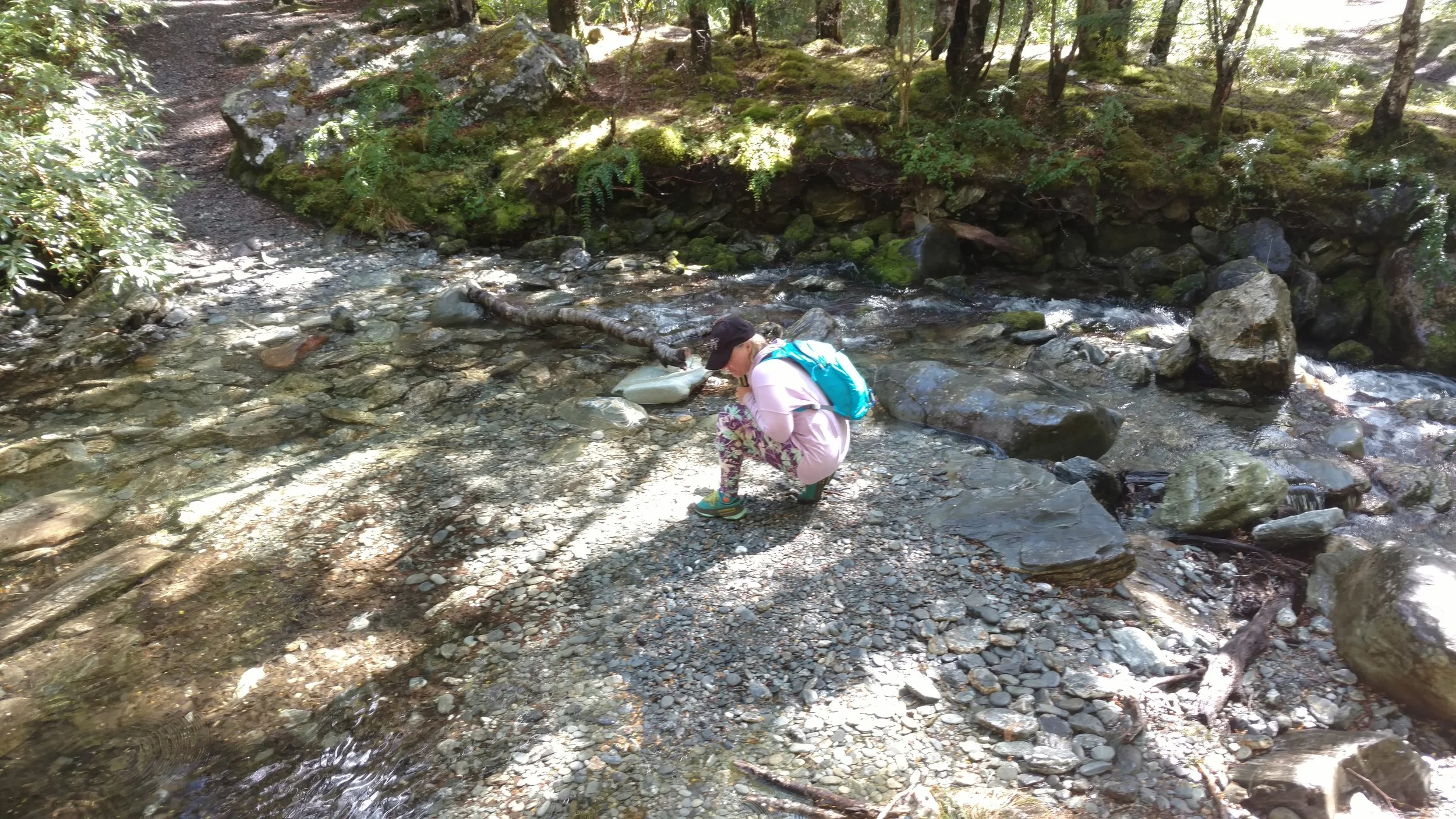 Below the bridge, Linda looking for potential stones