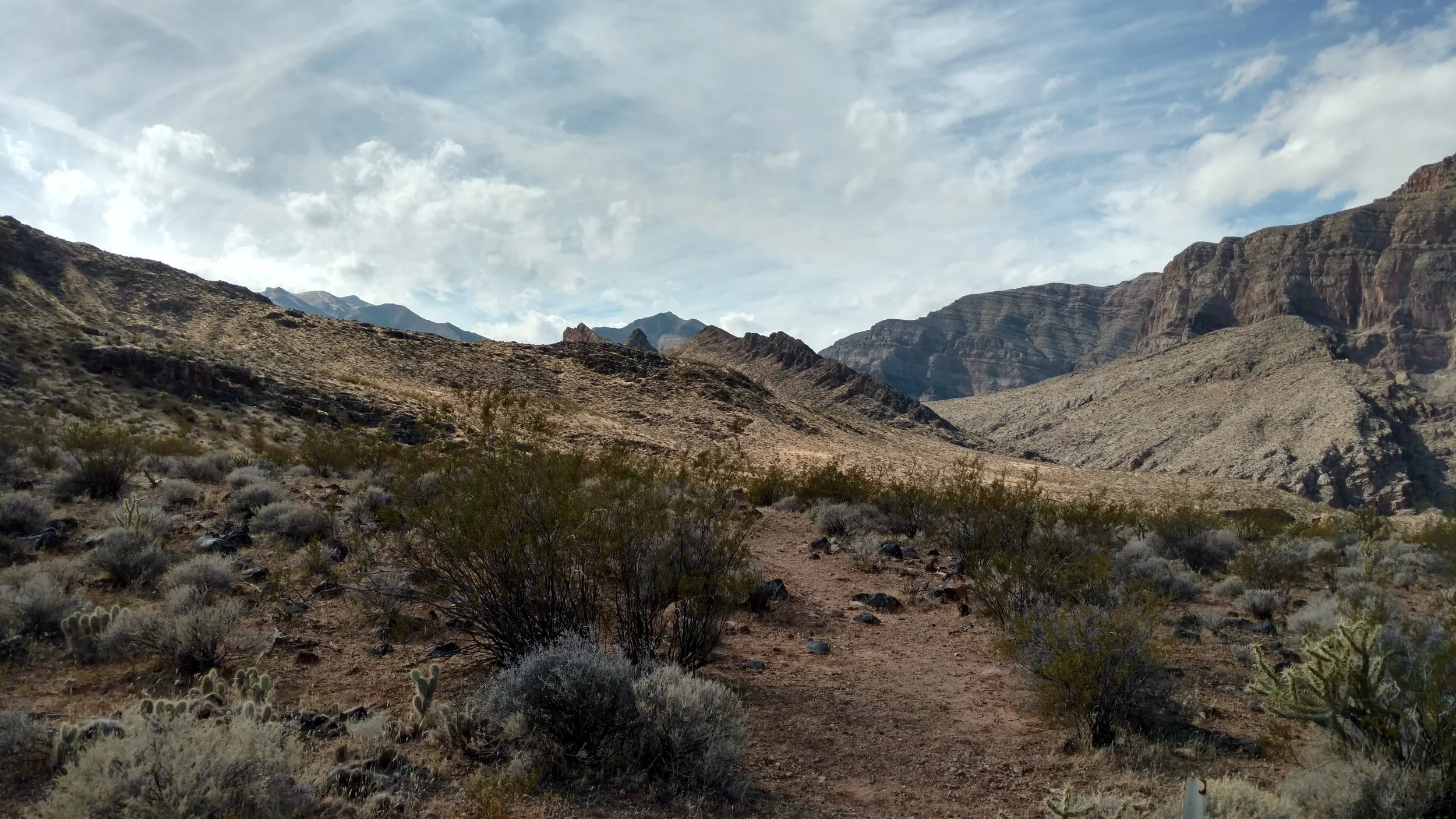 Trail view south toward un-named peak 3022