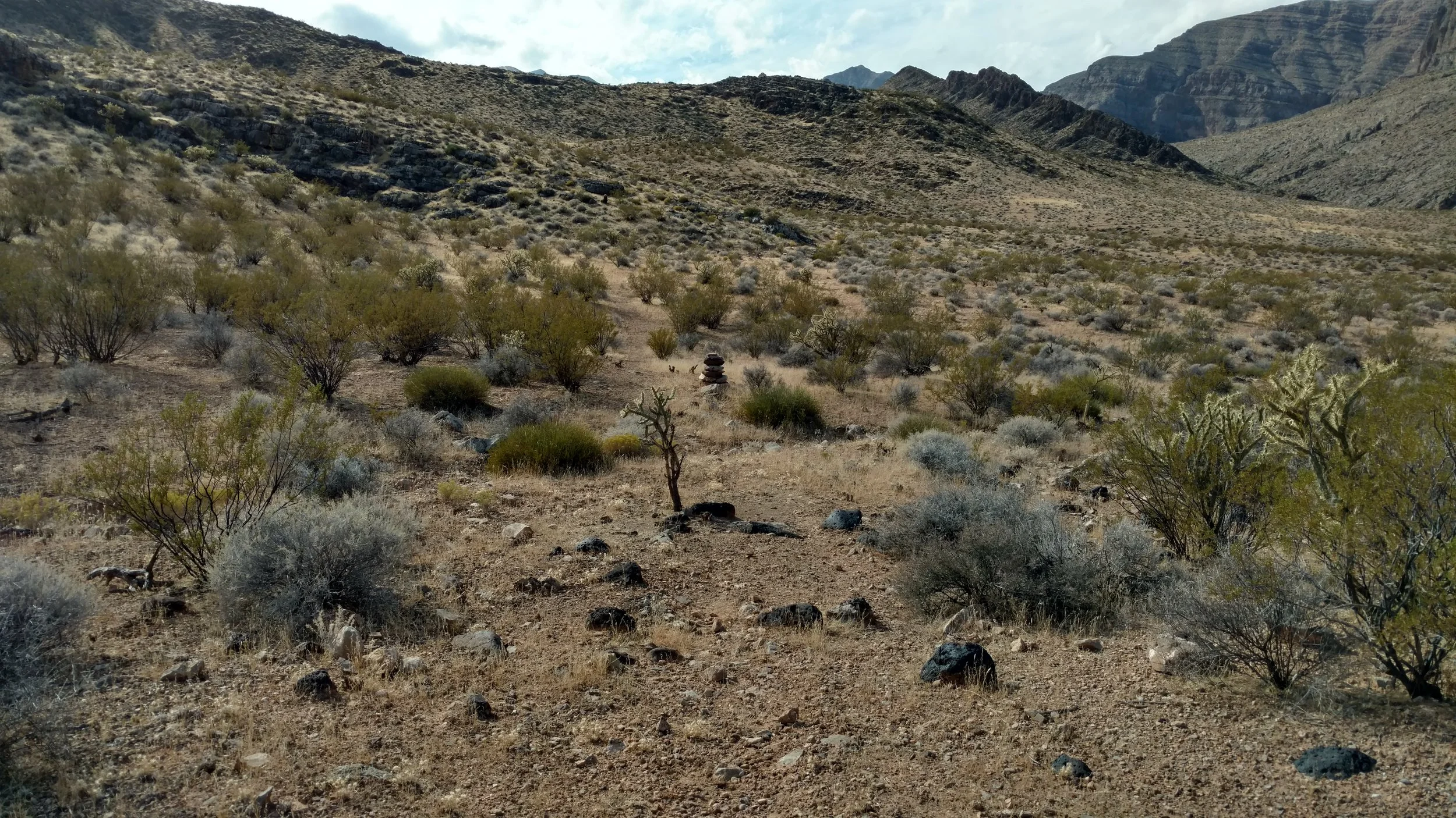 Carin along the trail
