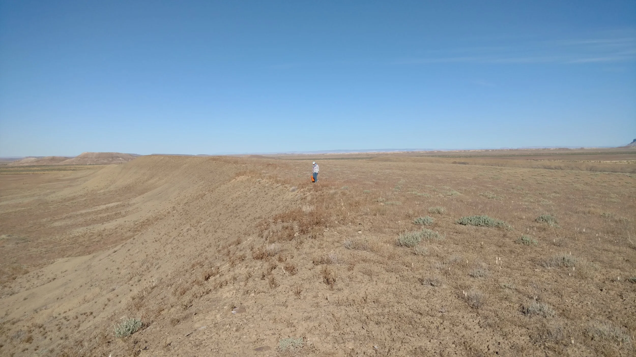 Linda looking for Agate