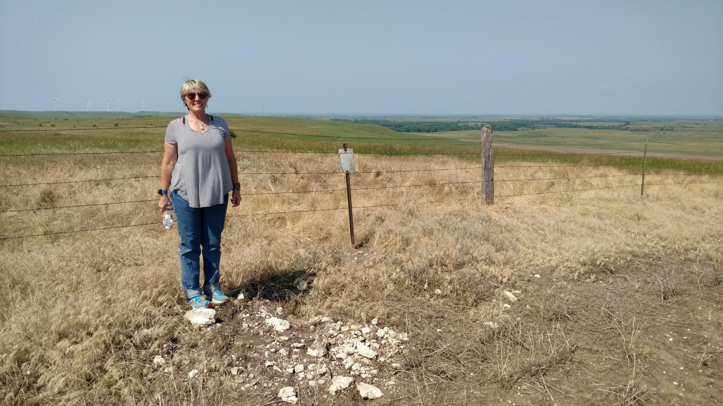 Linda standing next to the survey market for Heath Benchmark