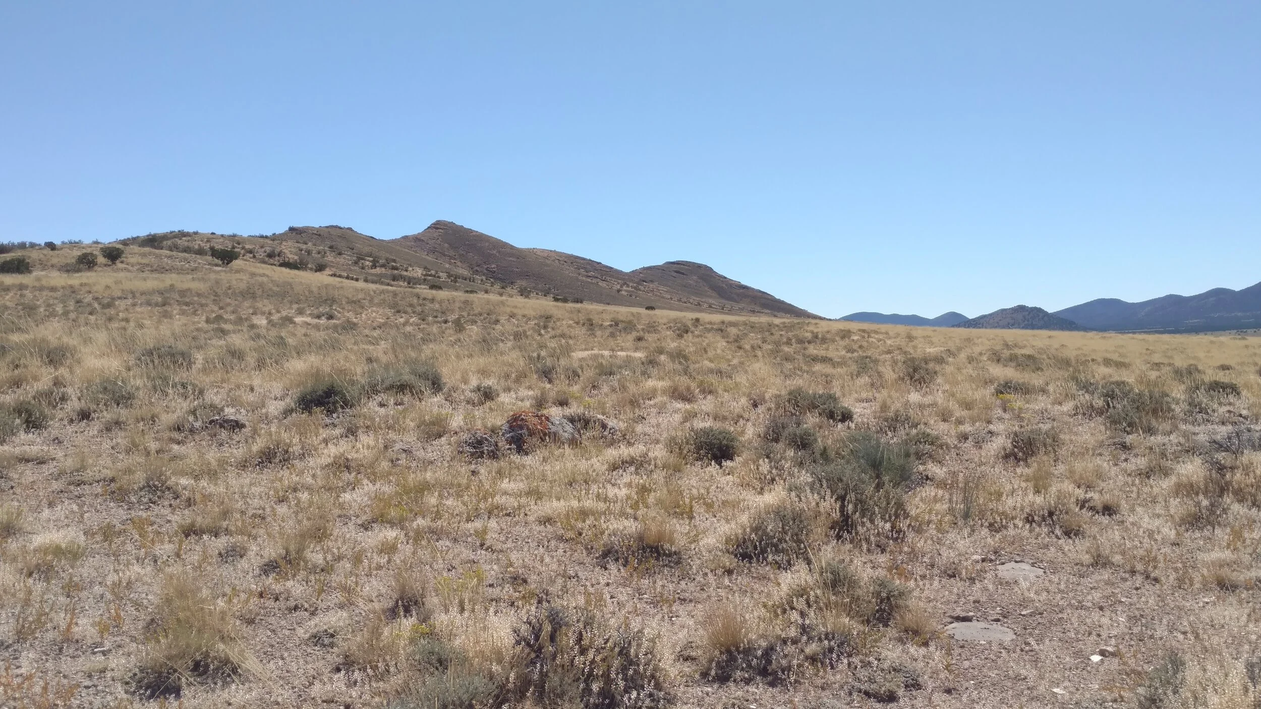 Road view of unnamed peak 6010; Beaver County; Frisco SW quadrangle; UT Rank 3539