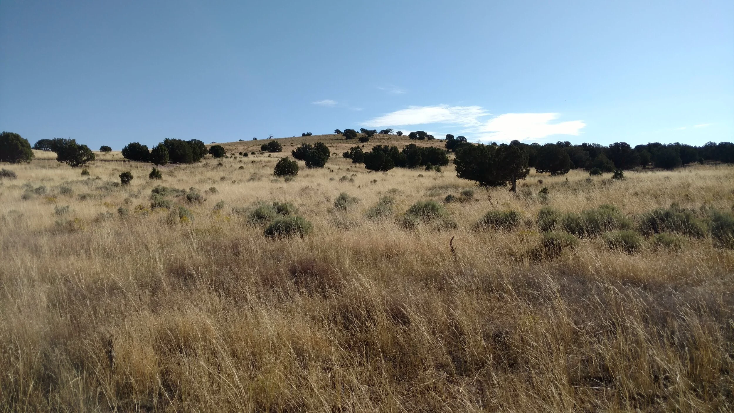 Observation Knoll; Beaver County; Observation Knoll quad; Rise 87’; unranked.