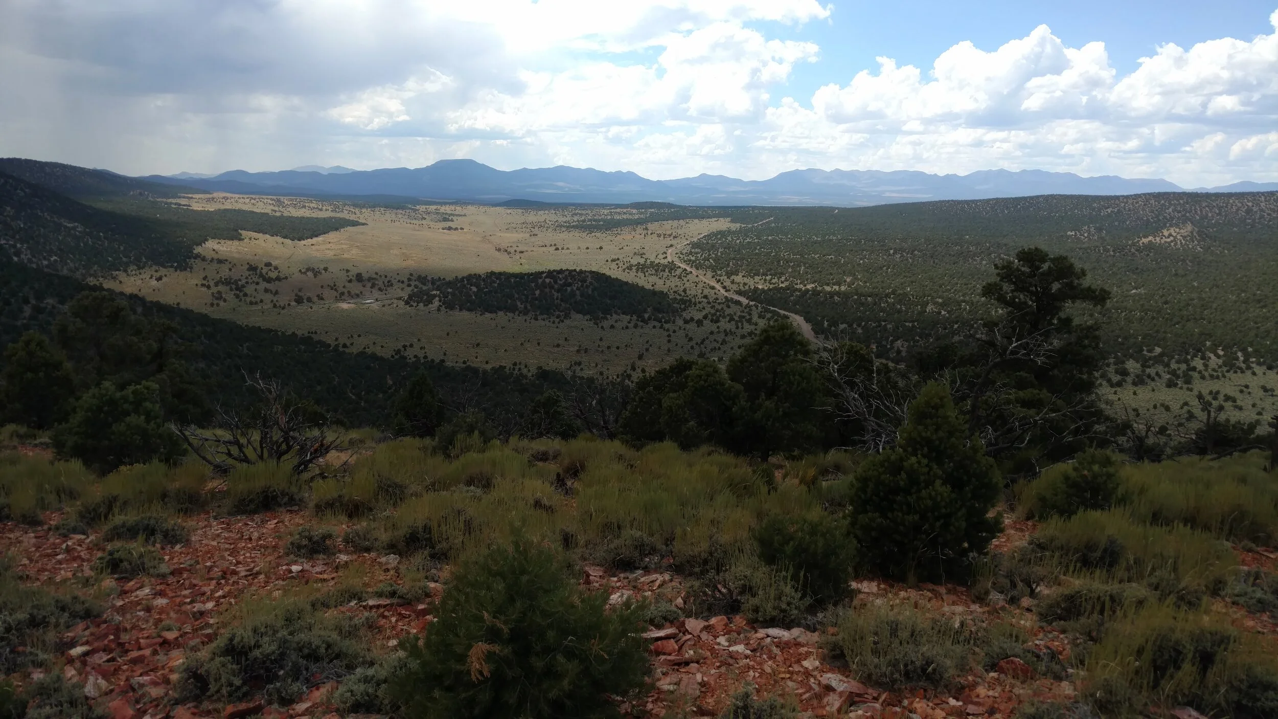 Pink Knolls summit view south