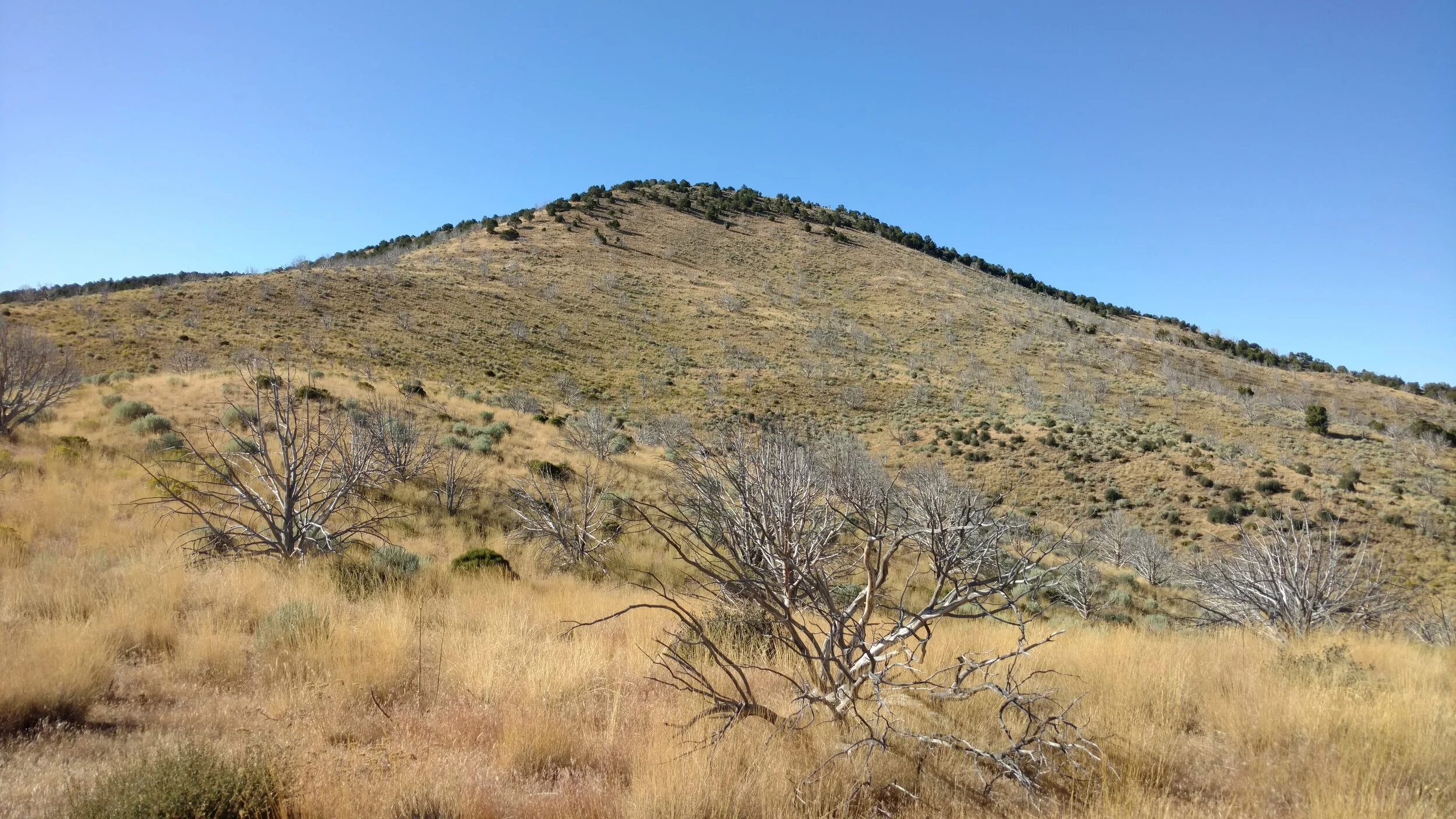 Ladybug Benchmark; Iron County; Baboon Peak - UT quadrangle, Rise: 664’; UT Rank: 2,121