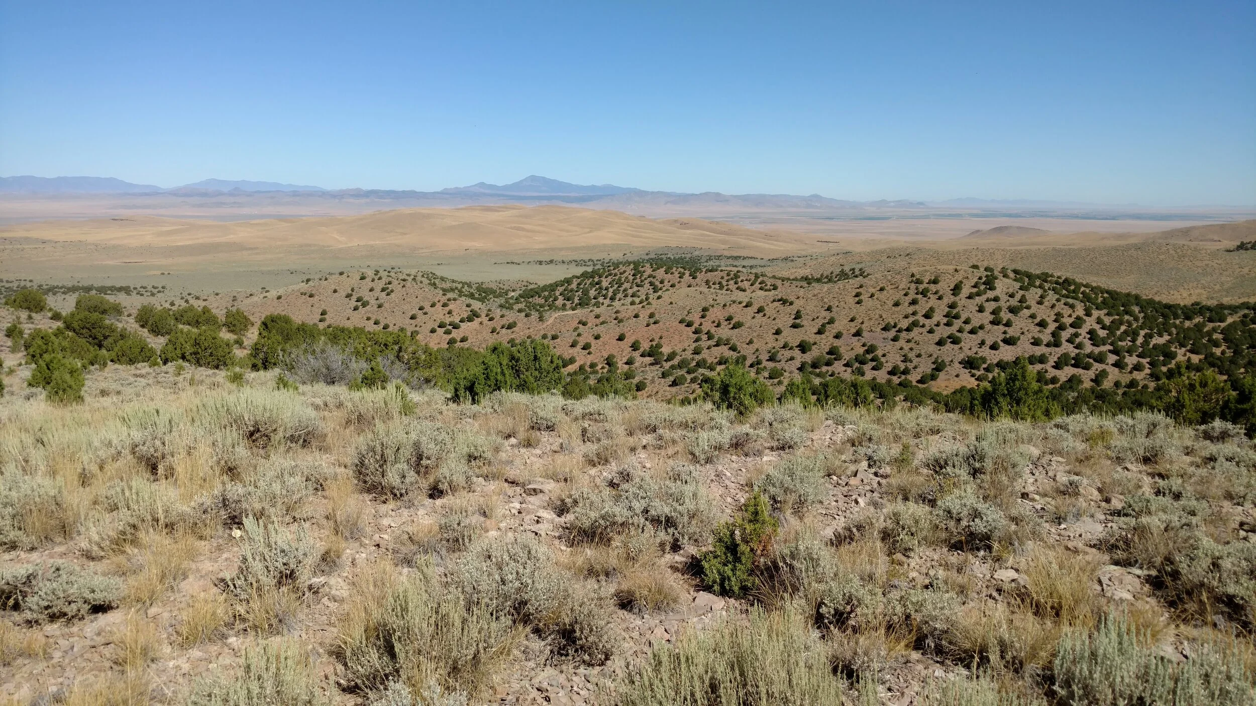 Unnamed peak 6820 summit view of Mound Mountain (brown grass covered knoll)