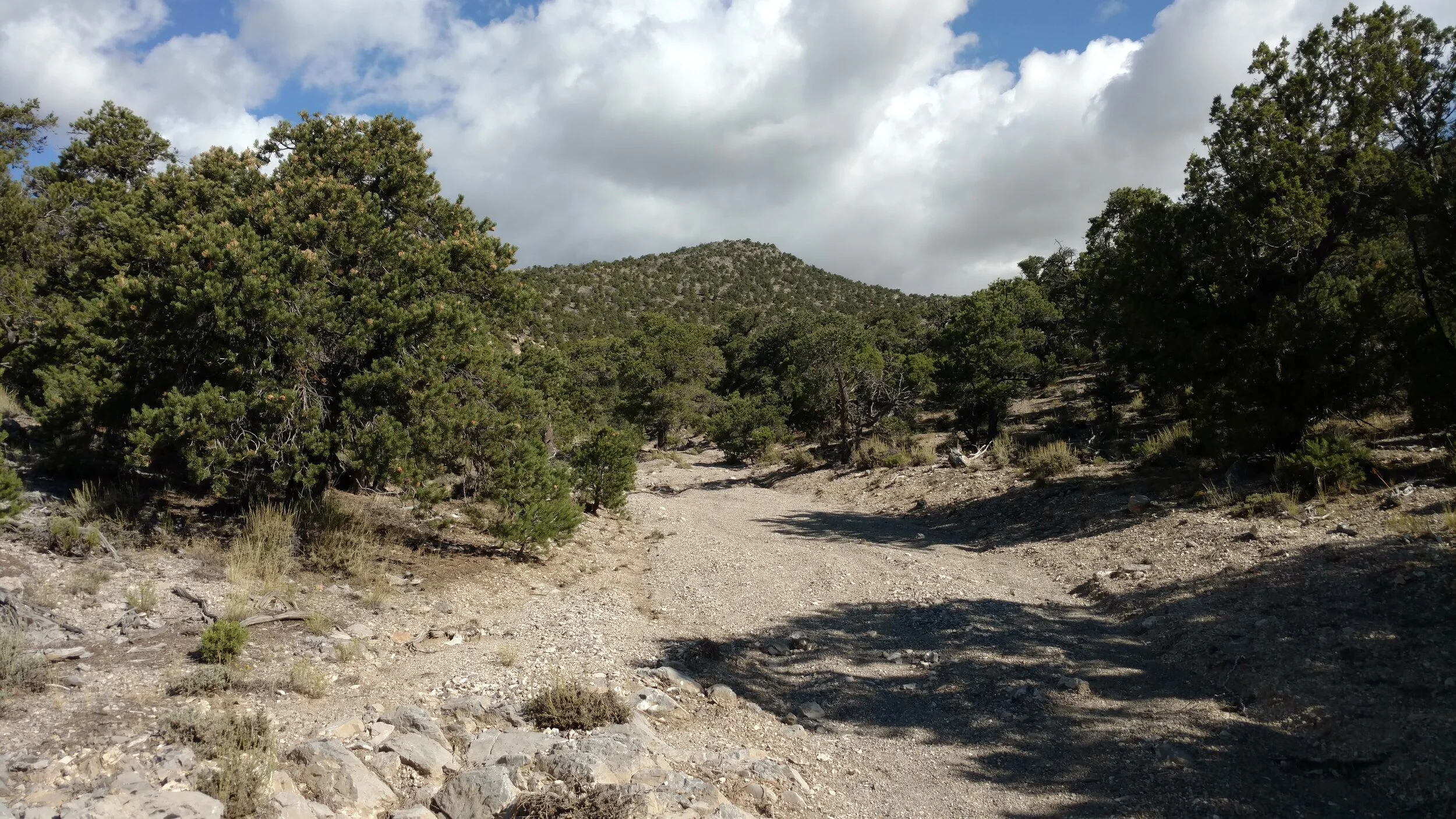 Mine Benchmark, Beaver County; Blue Mountain-UT quad; Rise: 832’; UT Rank: 2,111