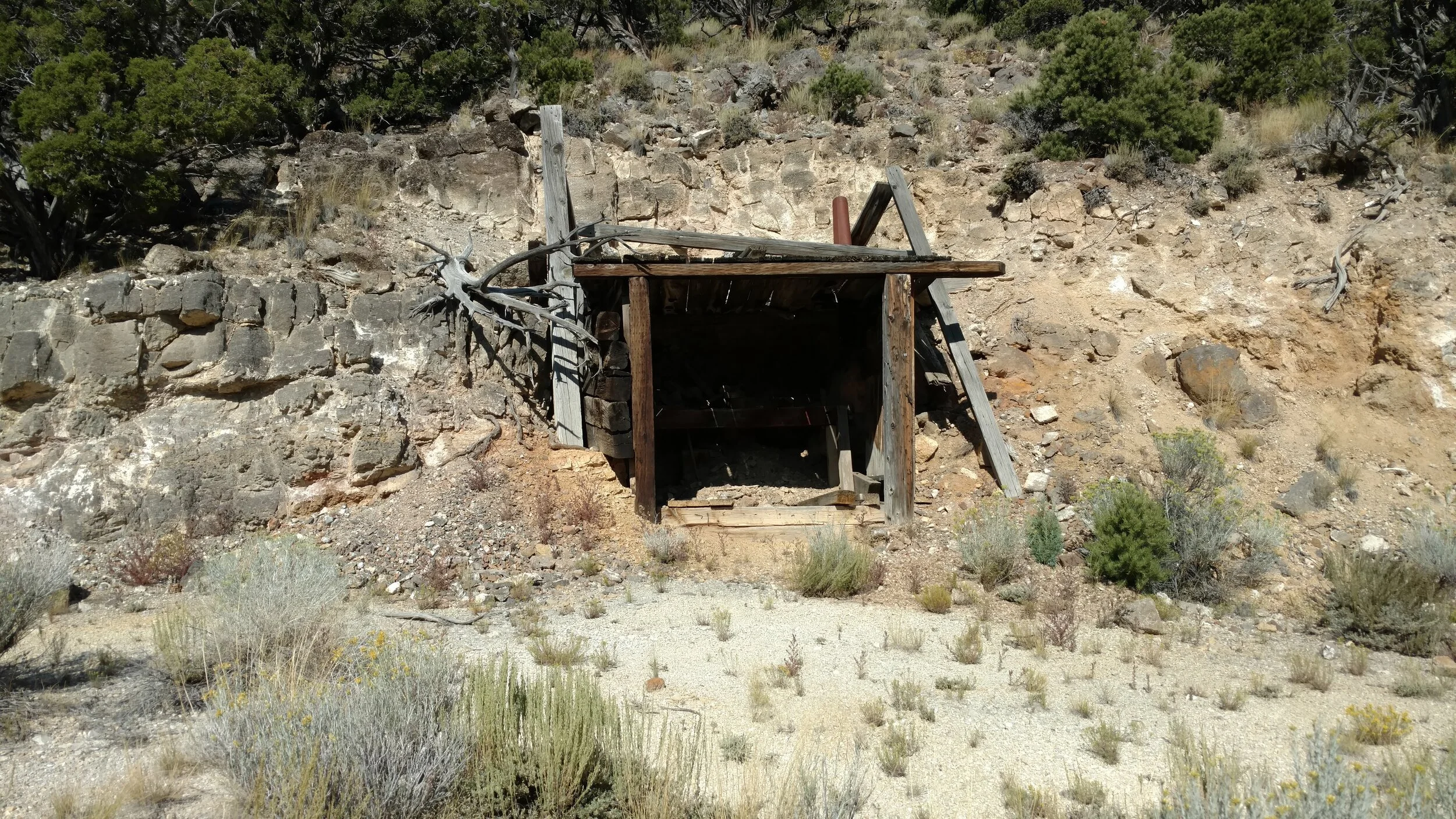 Abandoned Mine