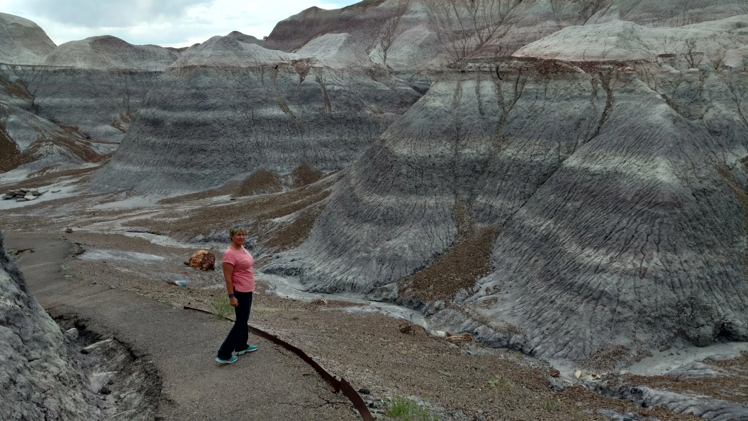 Hiking along Blue Mesa Trail