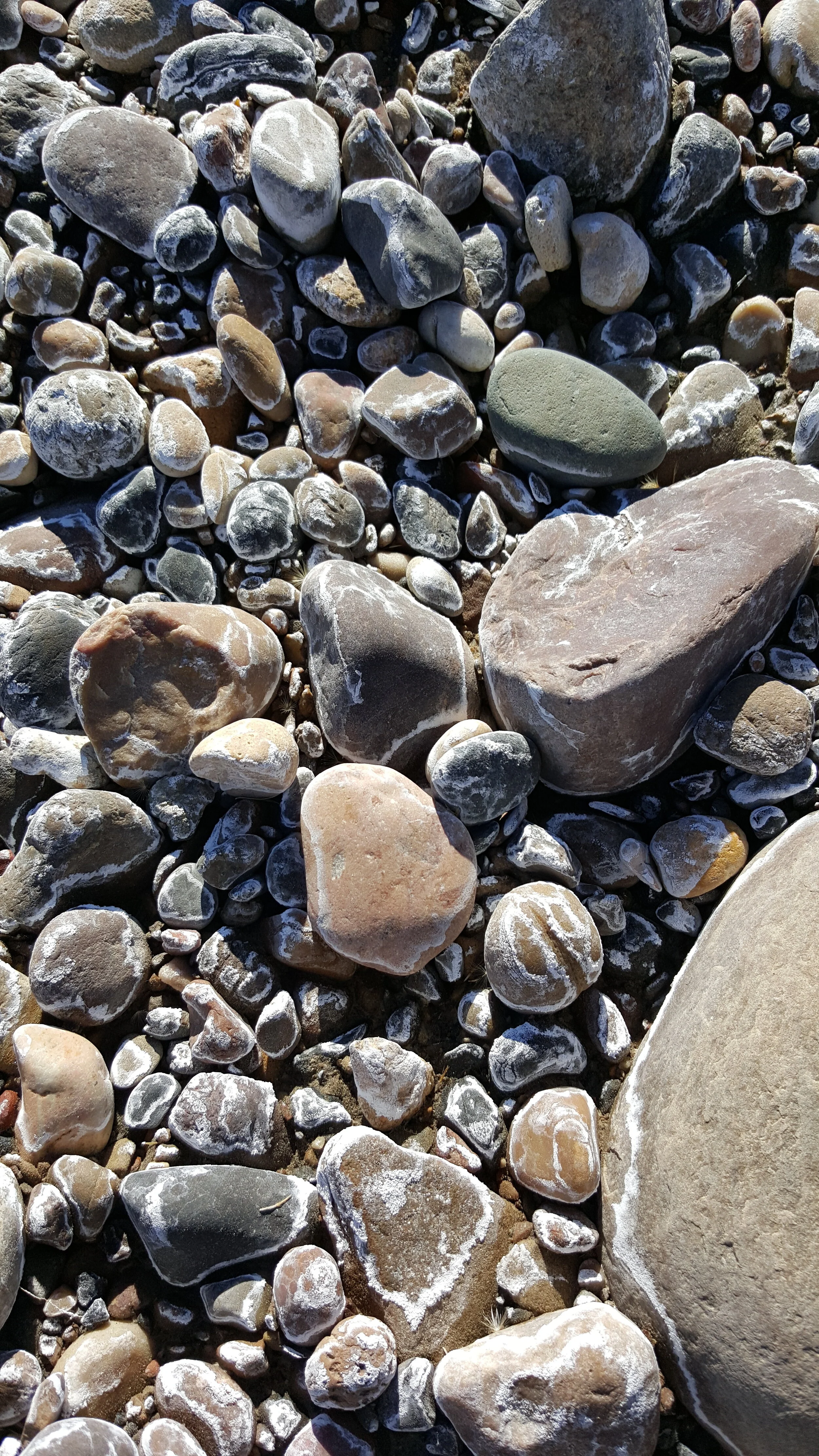 20151113_150023.jpg
