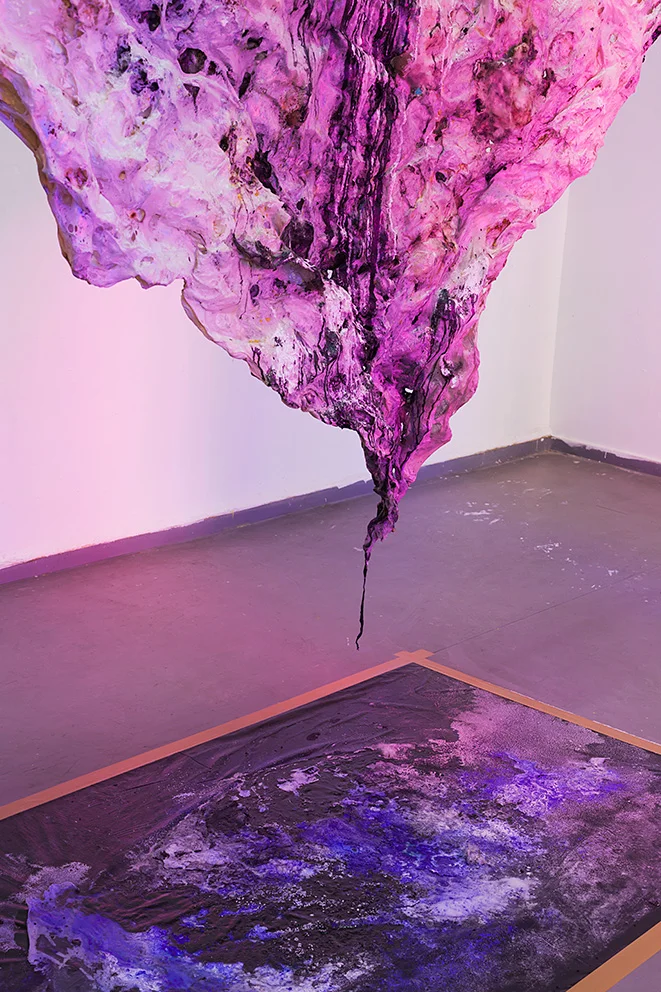 Tomer Sapir