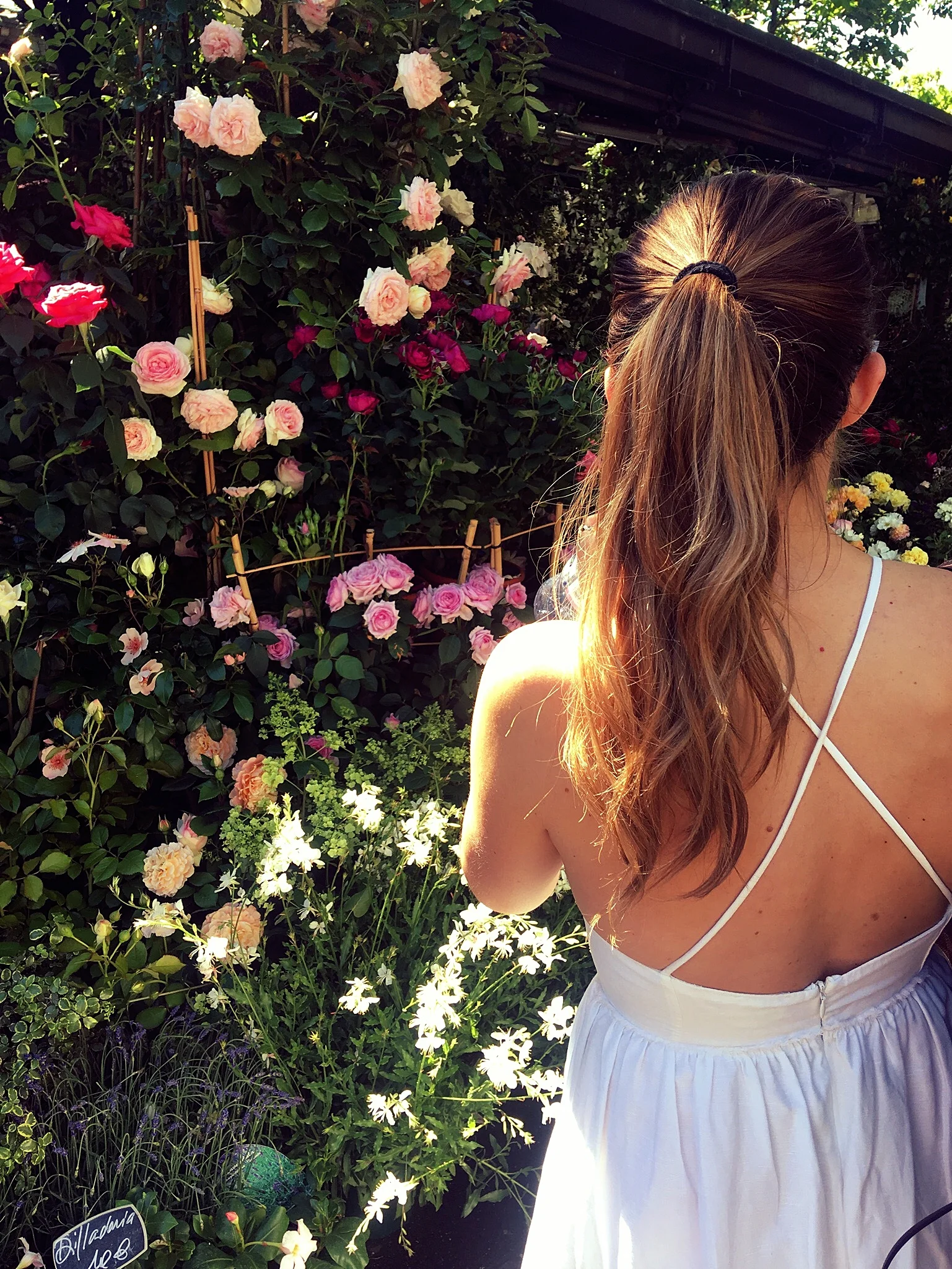 see | marche aux fleurs