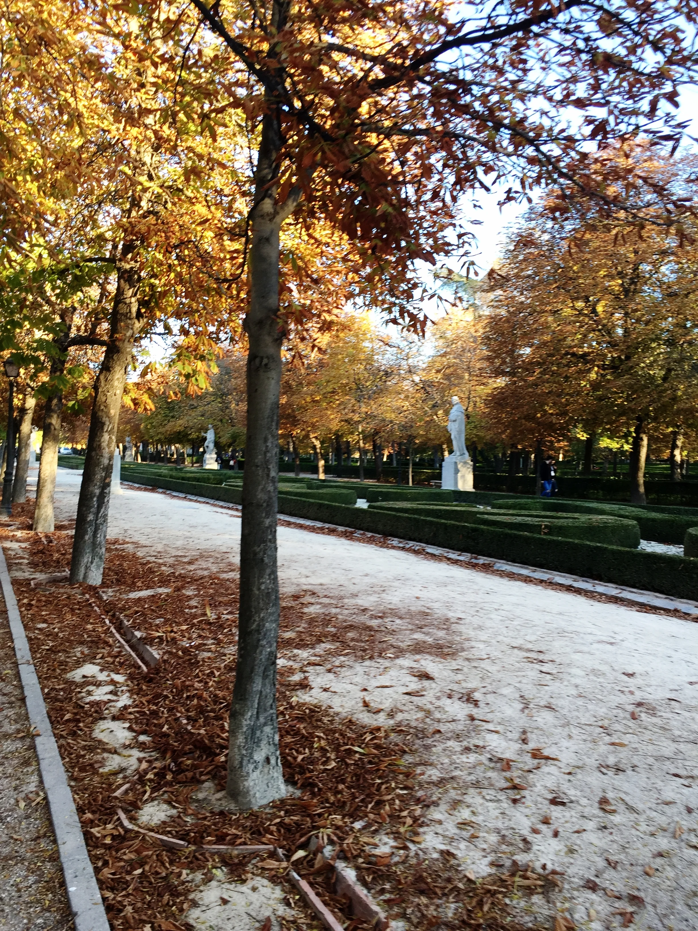 do | buen retiro park