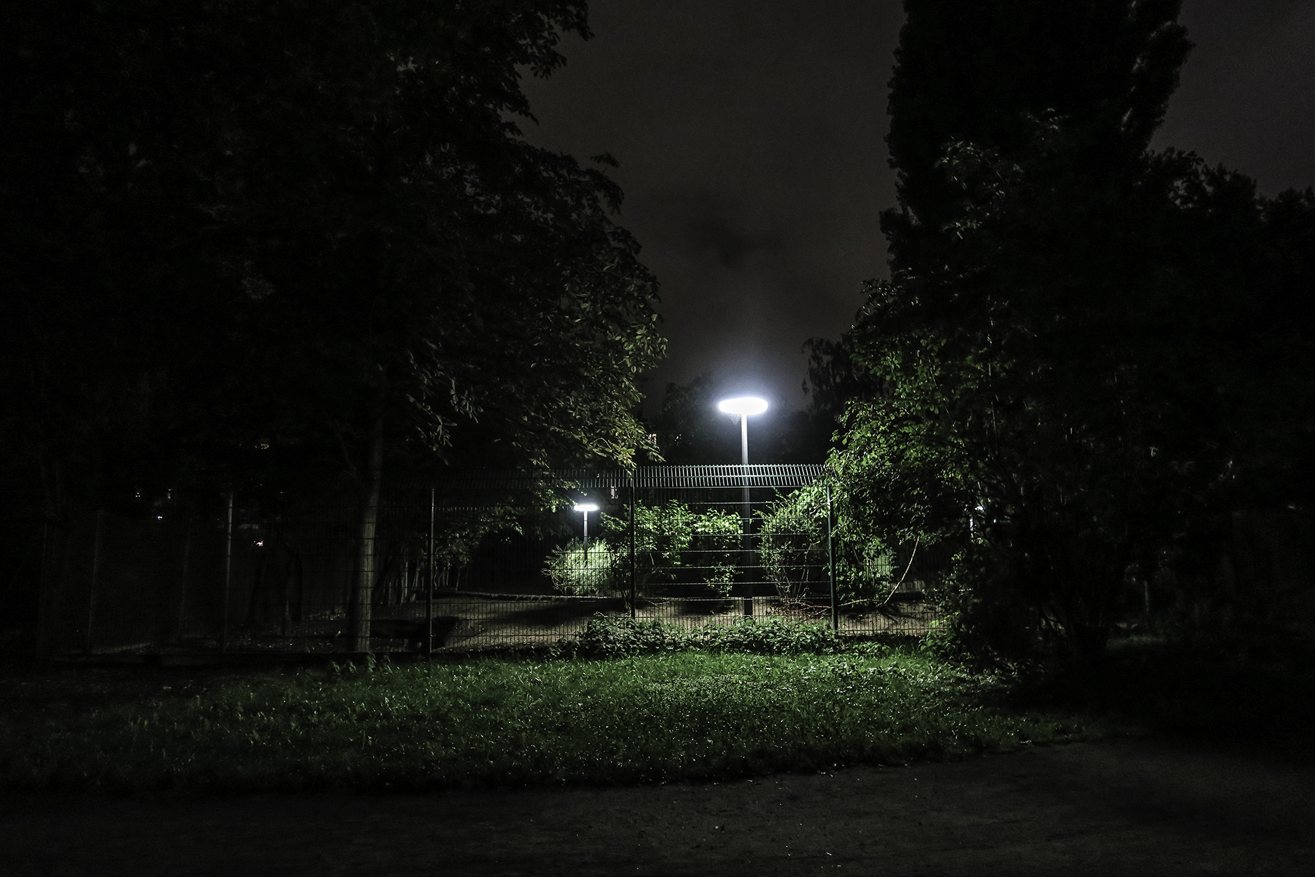 PJB_URB_22558.jpg