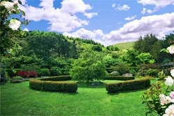 RoseGarden.jpg