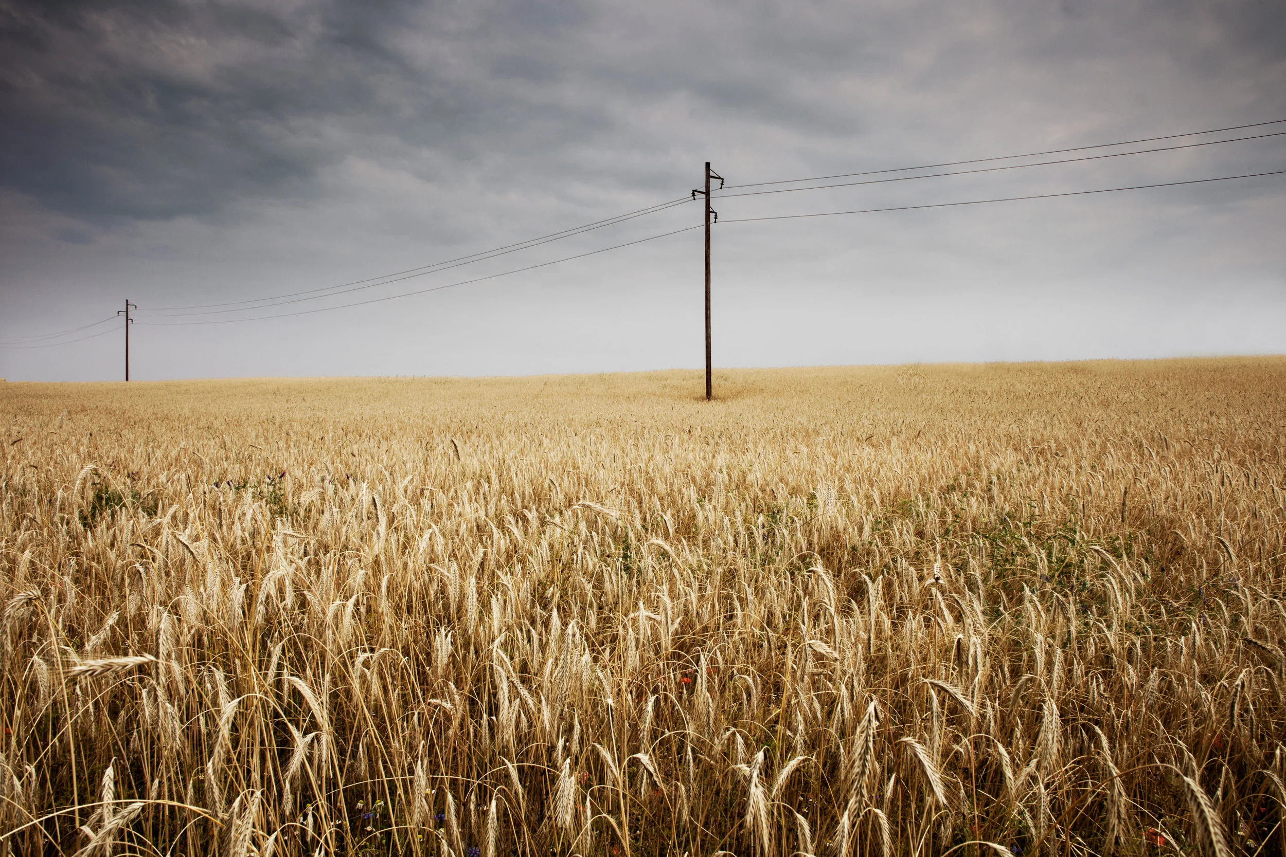  Roggentin, Germany&nbsp;© 2013 