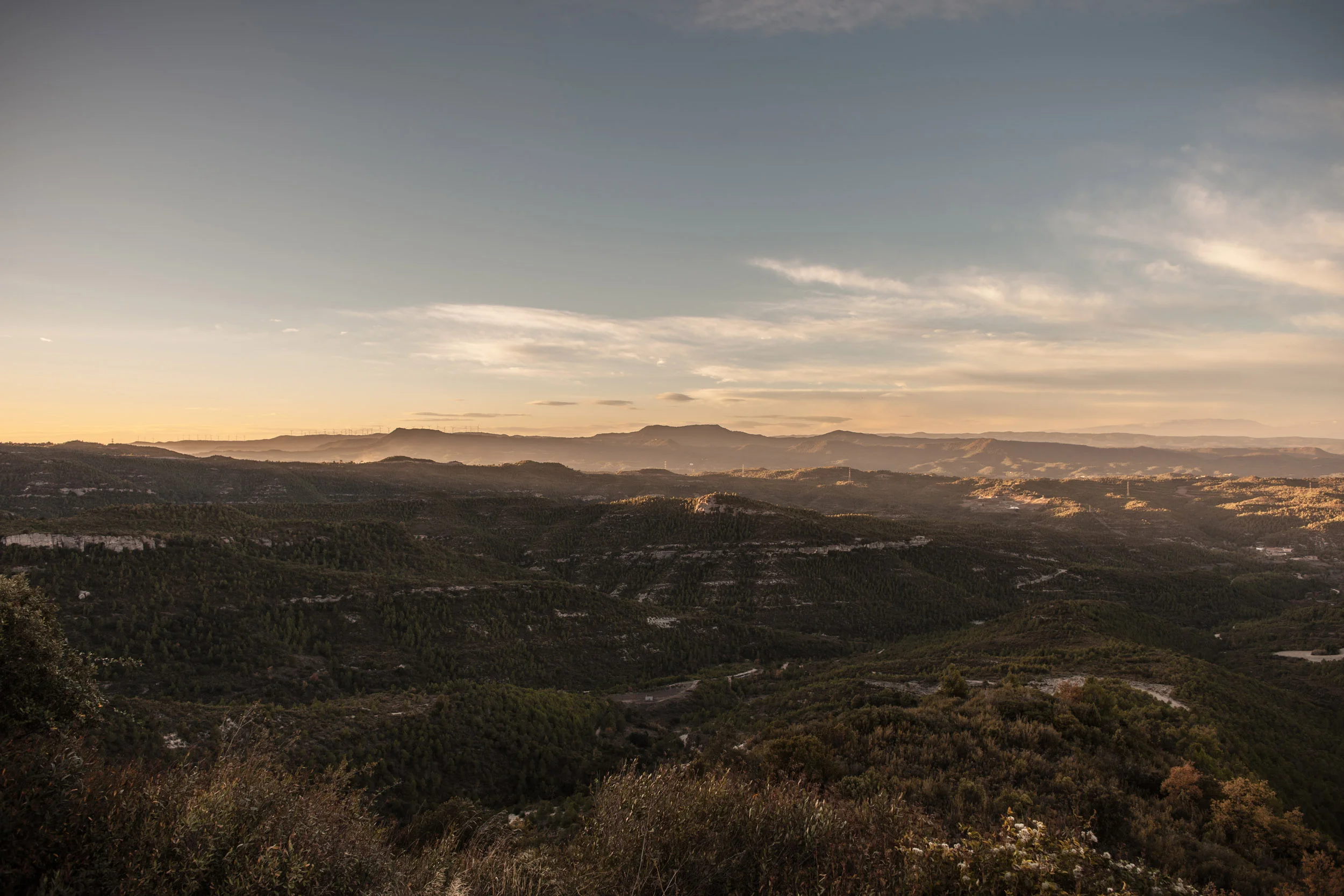  Montserrat,&nbsp;2013 