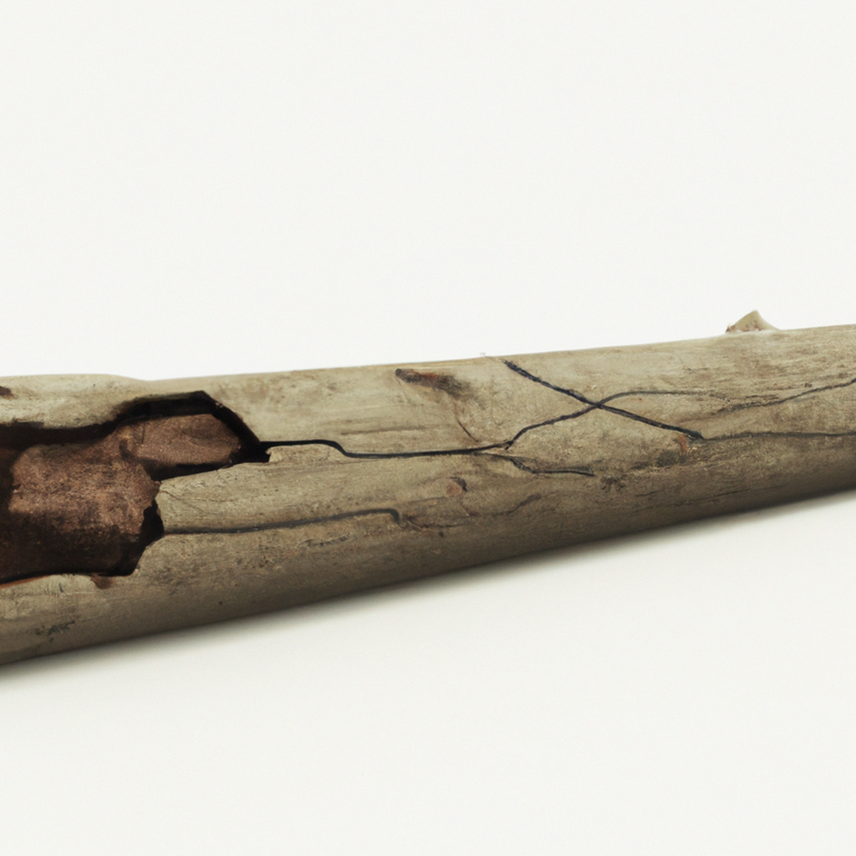 DALL·E 2022-08-22 10.44.28 - A wrung out log on white background, unreal engine.png