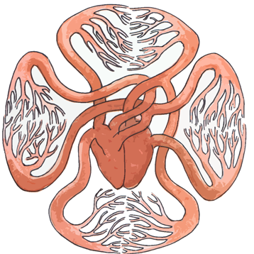 Nature, the IT wizard // Nautilus