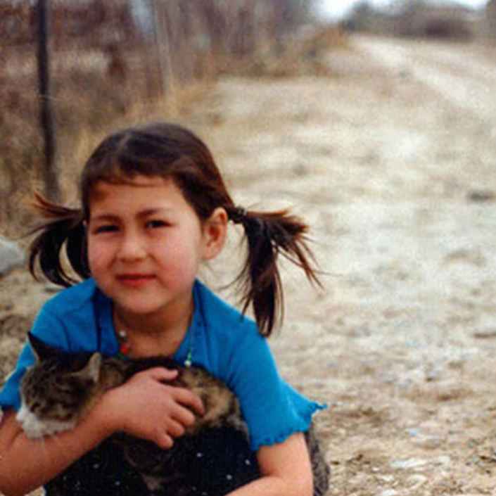 Who are not, but could be // Massachusetts Review