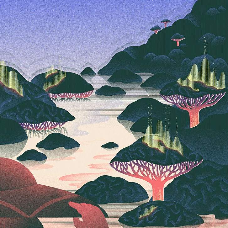 Why your brain seems dormant // Nautilus