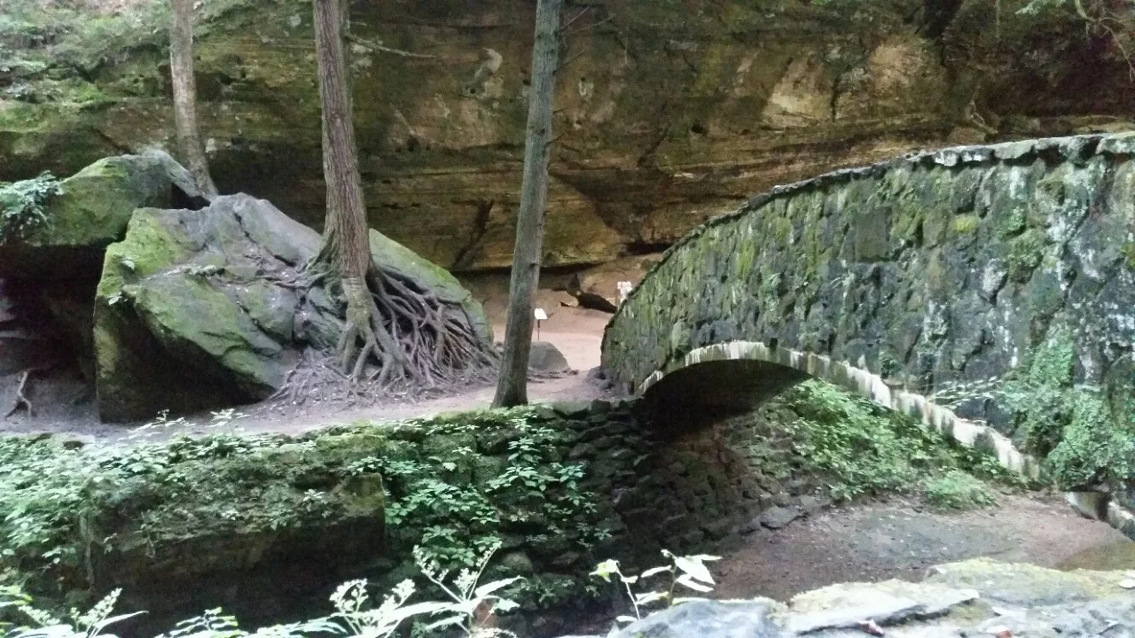 hocking bridge tree teach.jpg