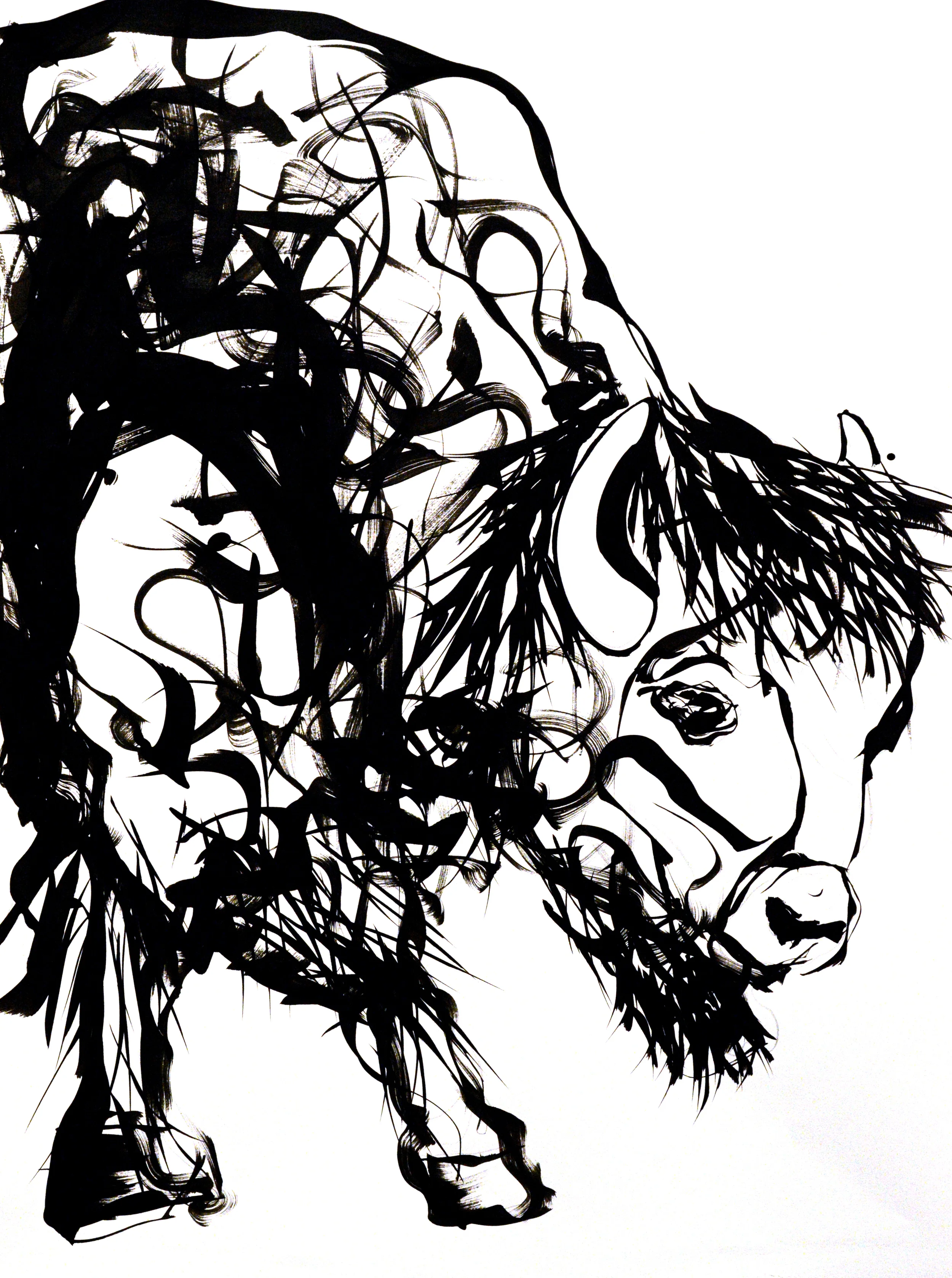 "Bison Sketch 3"