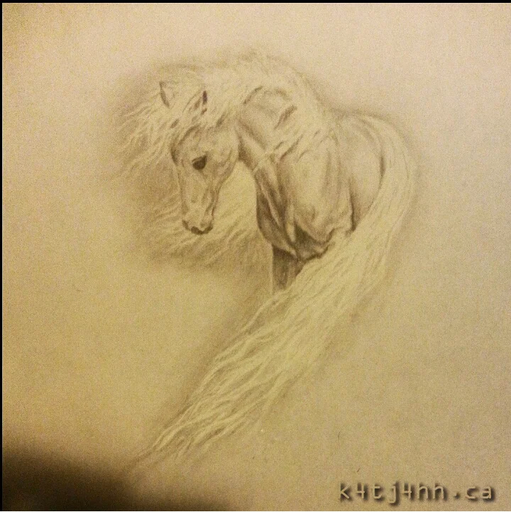 Horse.jpg