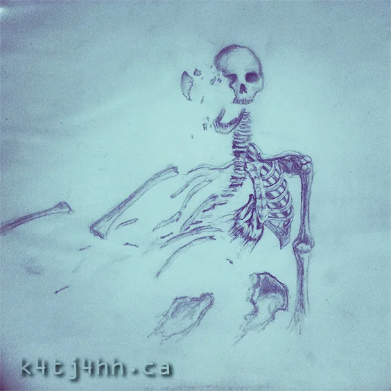 Skeleton.jpg