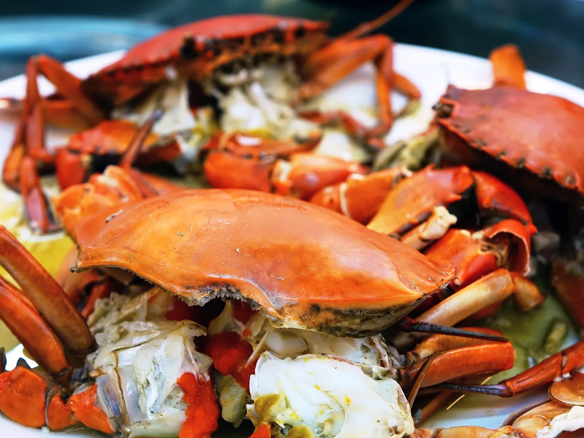Crab Feast & Wine Pairing