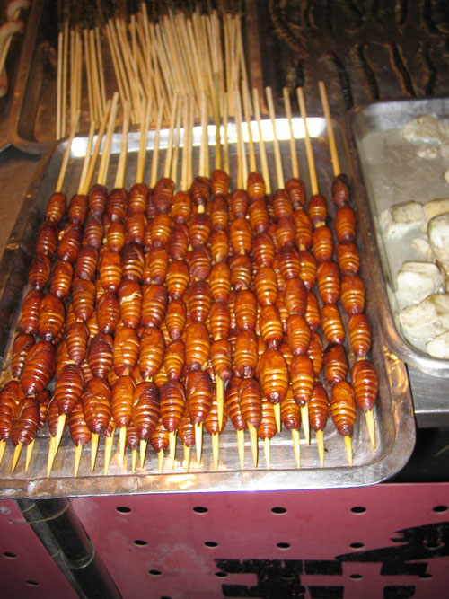 Silkworms in cocoons.