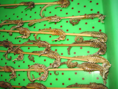 No one seemed to mind these except me. The texture was different from the "normal" bugs and there was a fish aftertaste that was a tad unsettling.