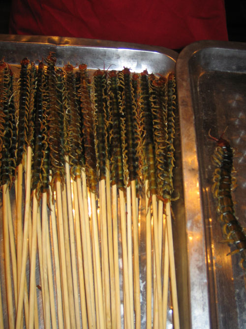 Centipede didn't taste bad, it was just tough to get off of the stick.