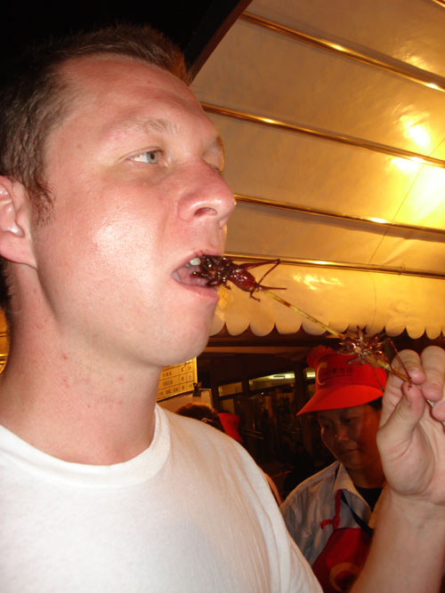 That's a locust.