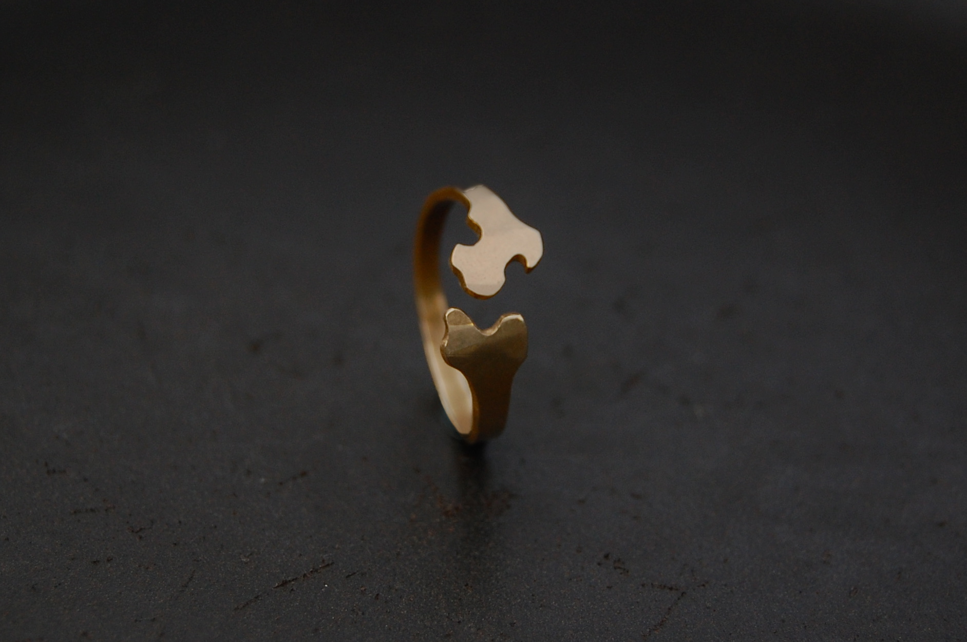 Bones Collection