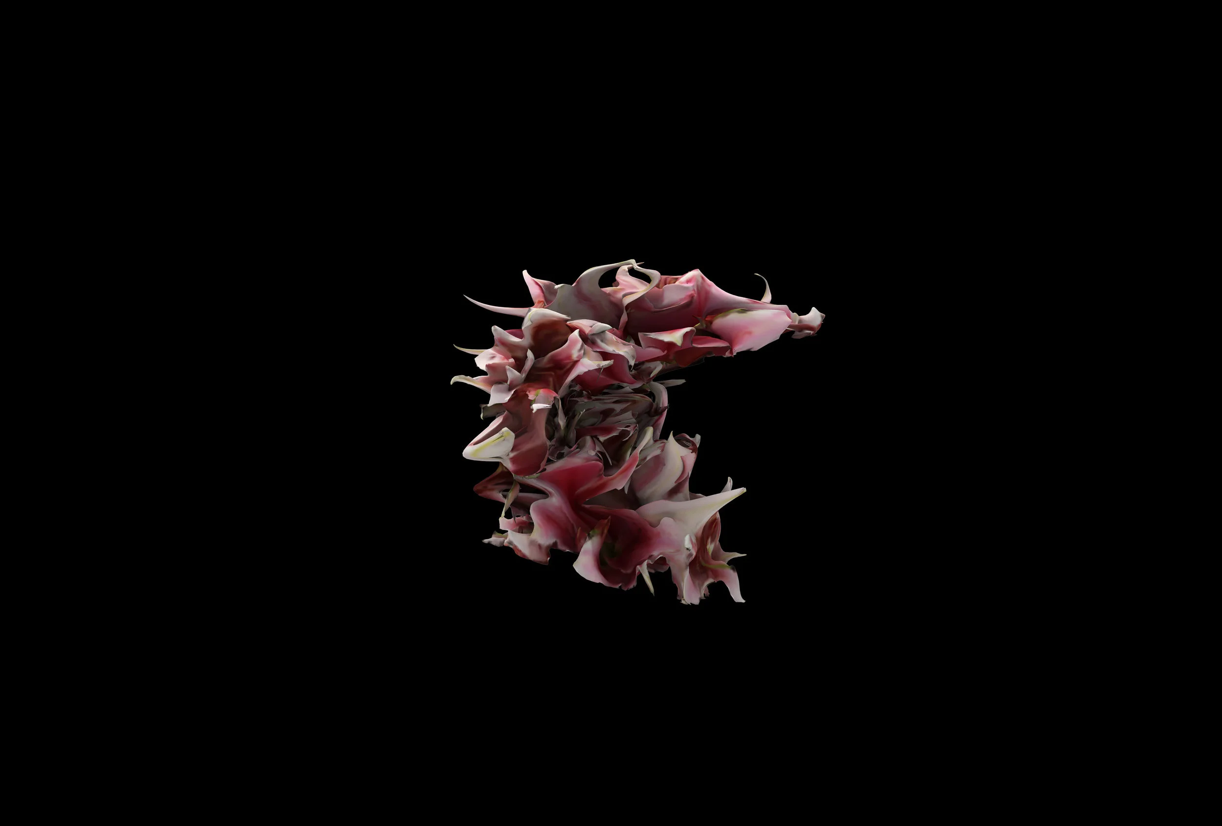 LilyHighRes.jpg