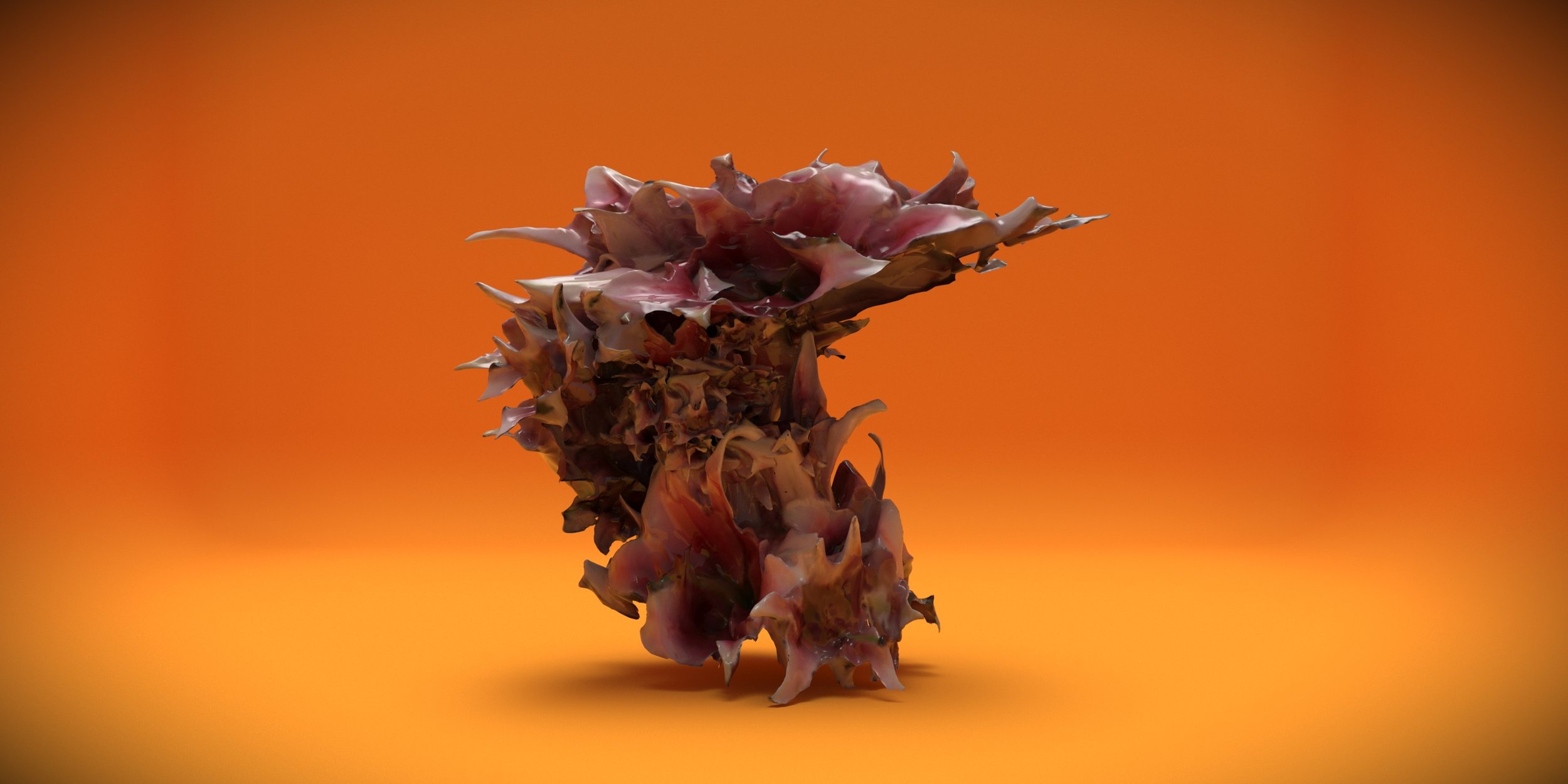 2025.03.21 01_19.jpg